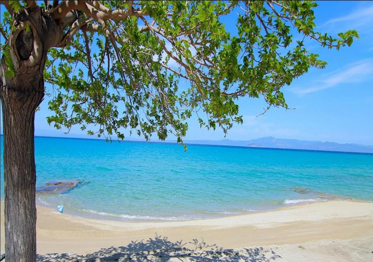 Beach in Kokkos Brothers