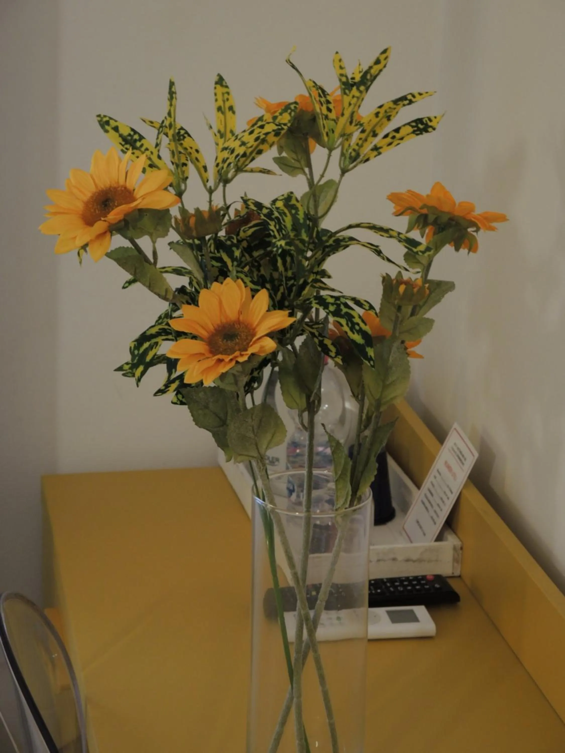 B&B Ariston Pisa Tower