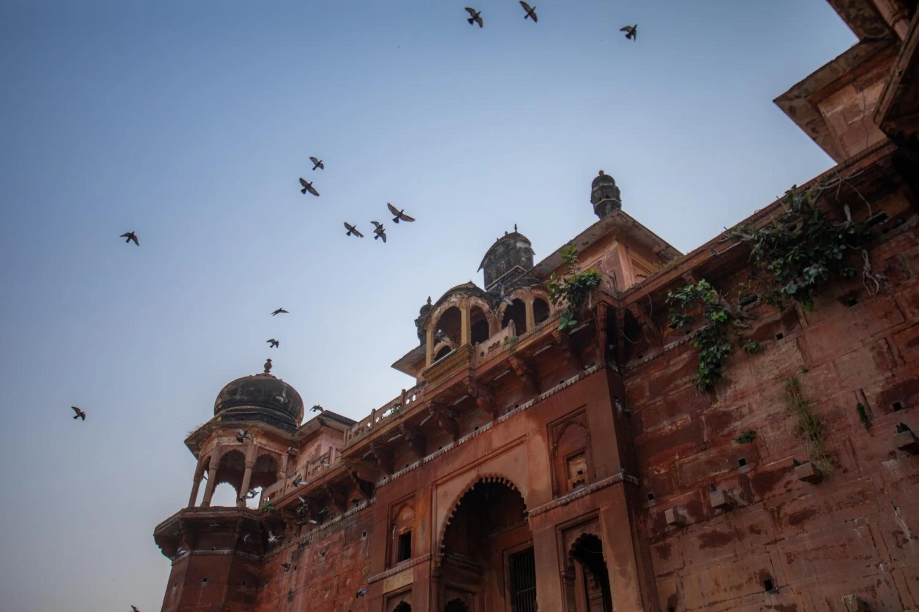 Neighbourhood in Amritara Suryauday Haveli