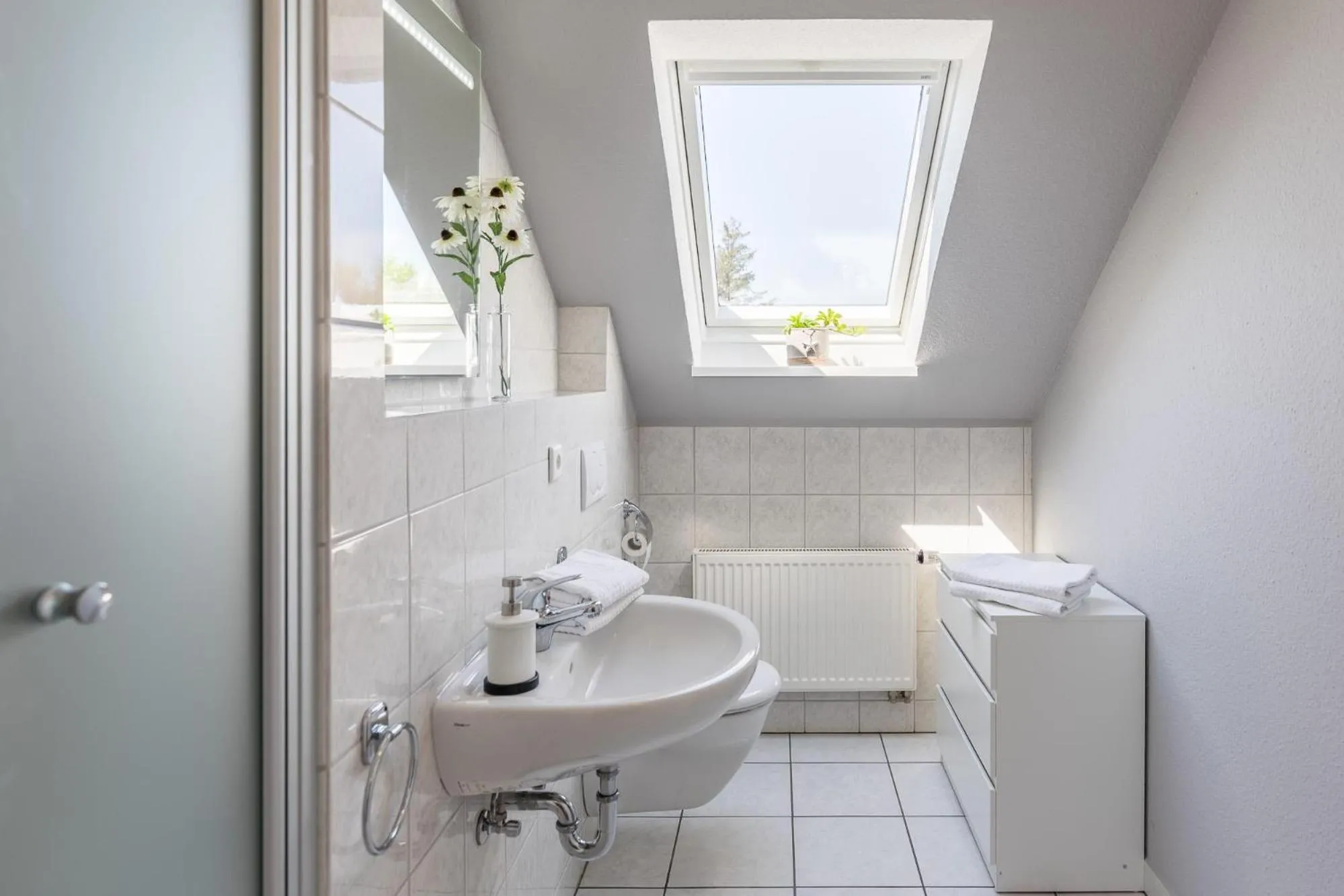Schobüller Seestern