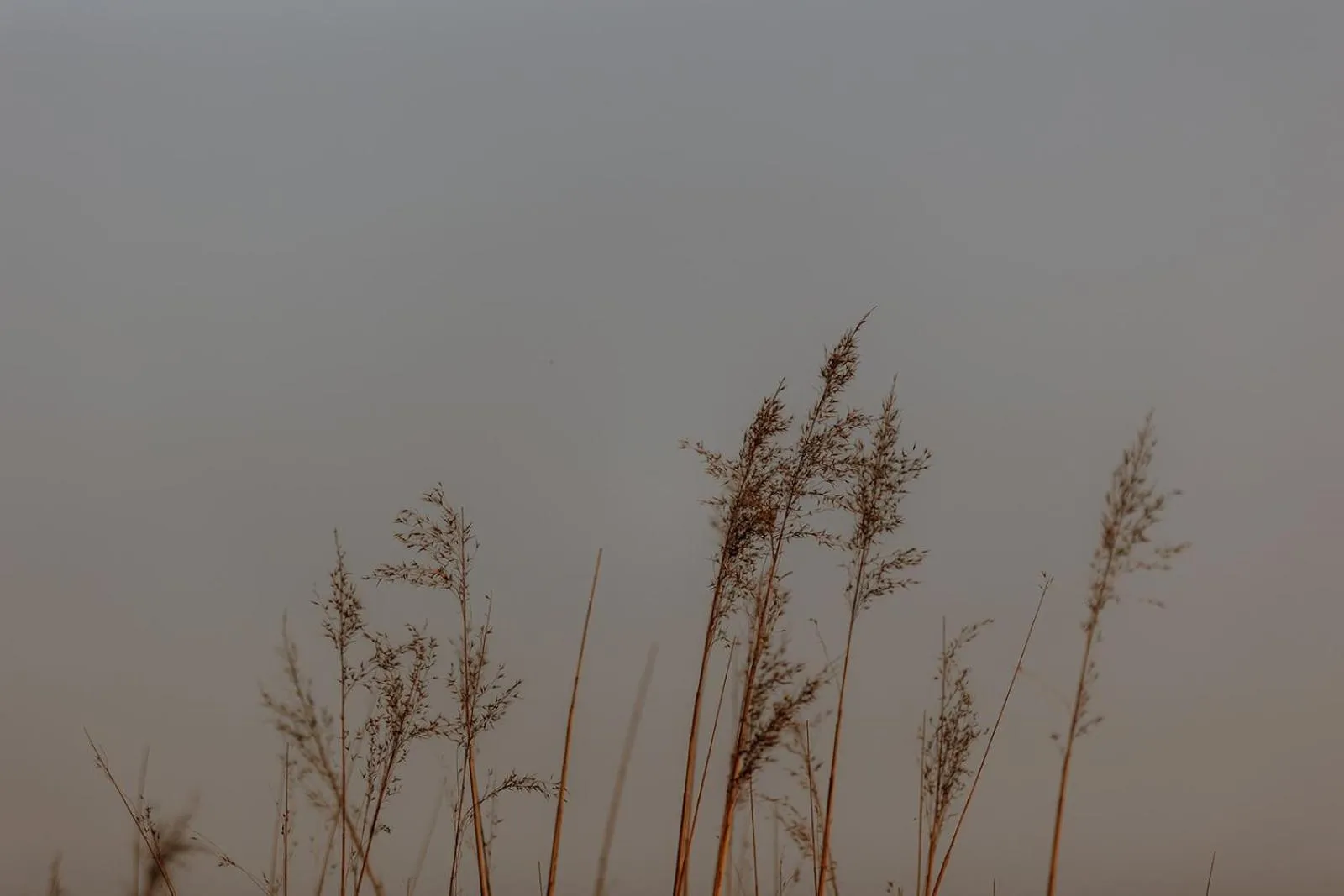 Natural landscape in Hotel zur Treene