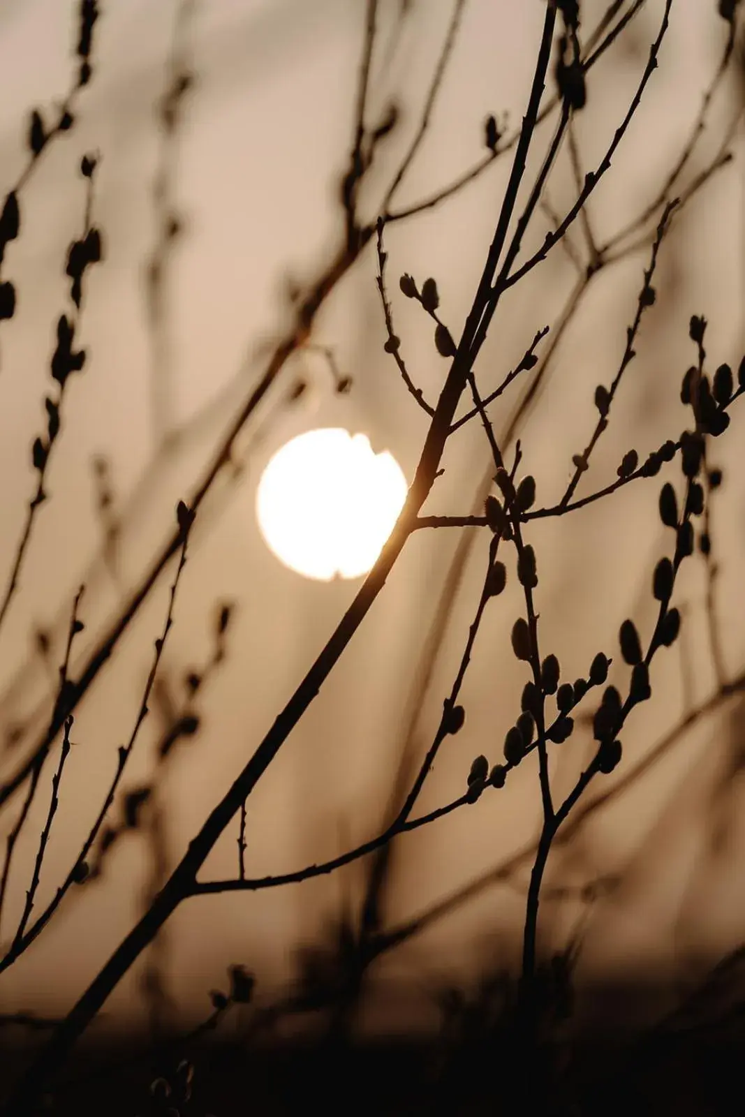 Double Room in Hotel zur Treene Double Room in Hotel zur Treene