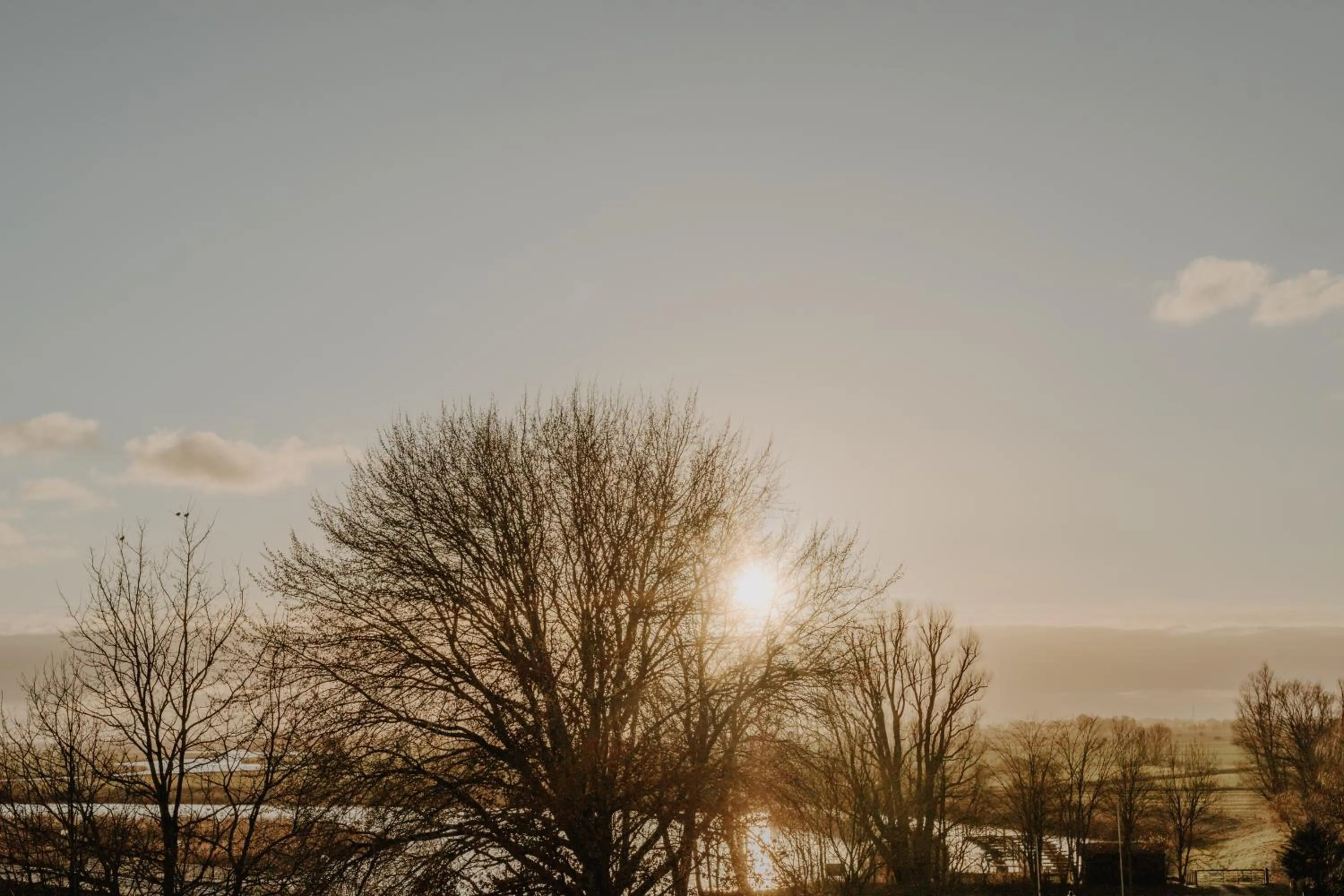 View (from property/room) in Hotel zur Treene