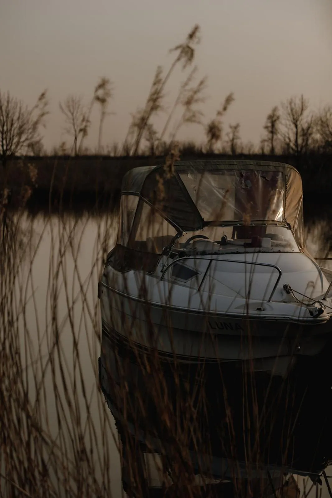 View (from property/room) in Hotel zur Treene