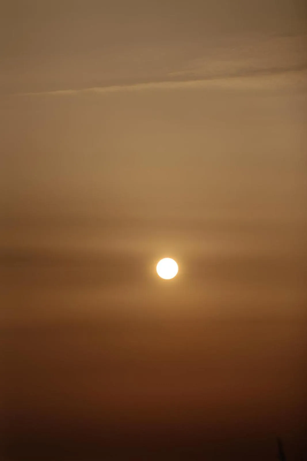 Natural landscape in Hotel zur Treene