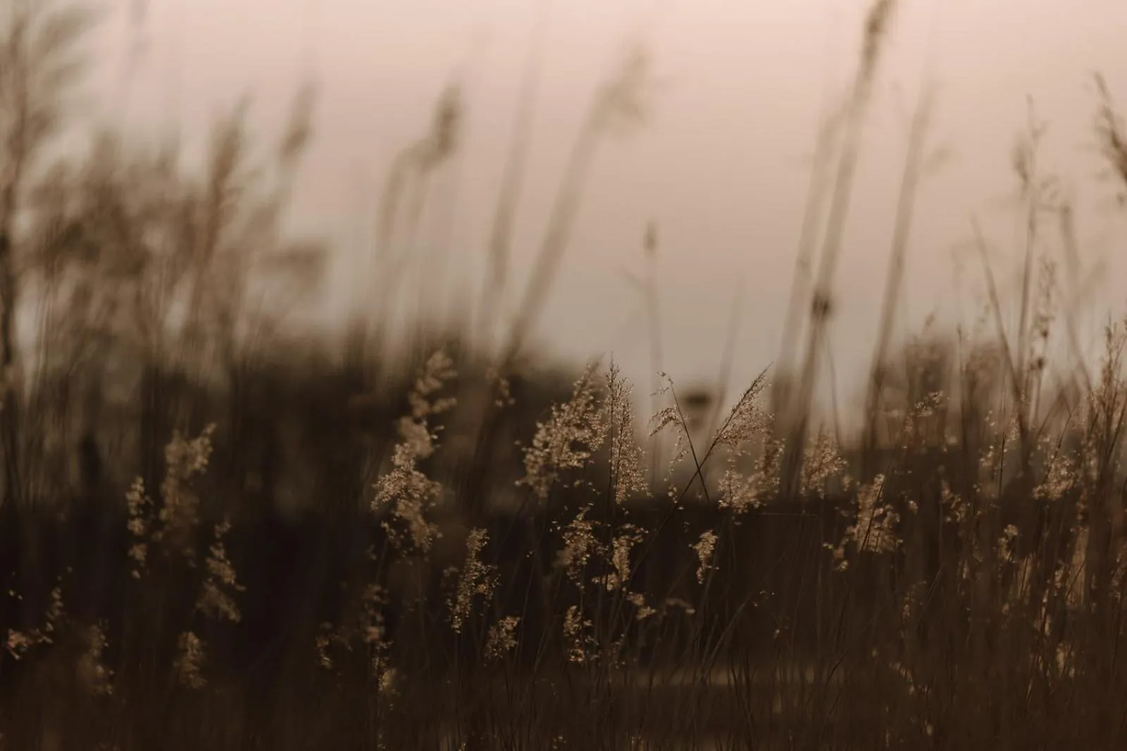 Natural landscape in Hotel zur Treene