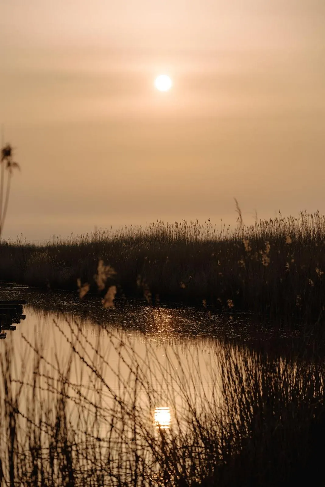 Natural landscape in Hotel zur Treene