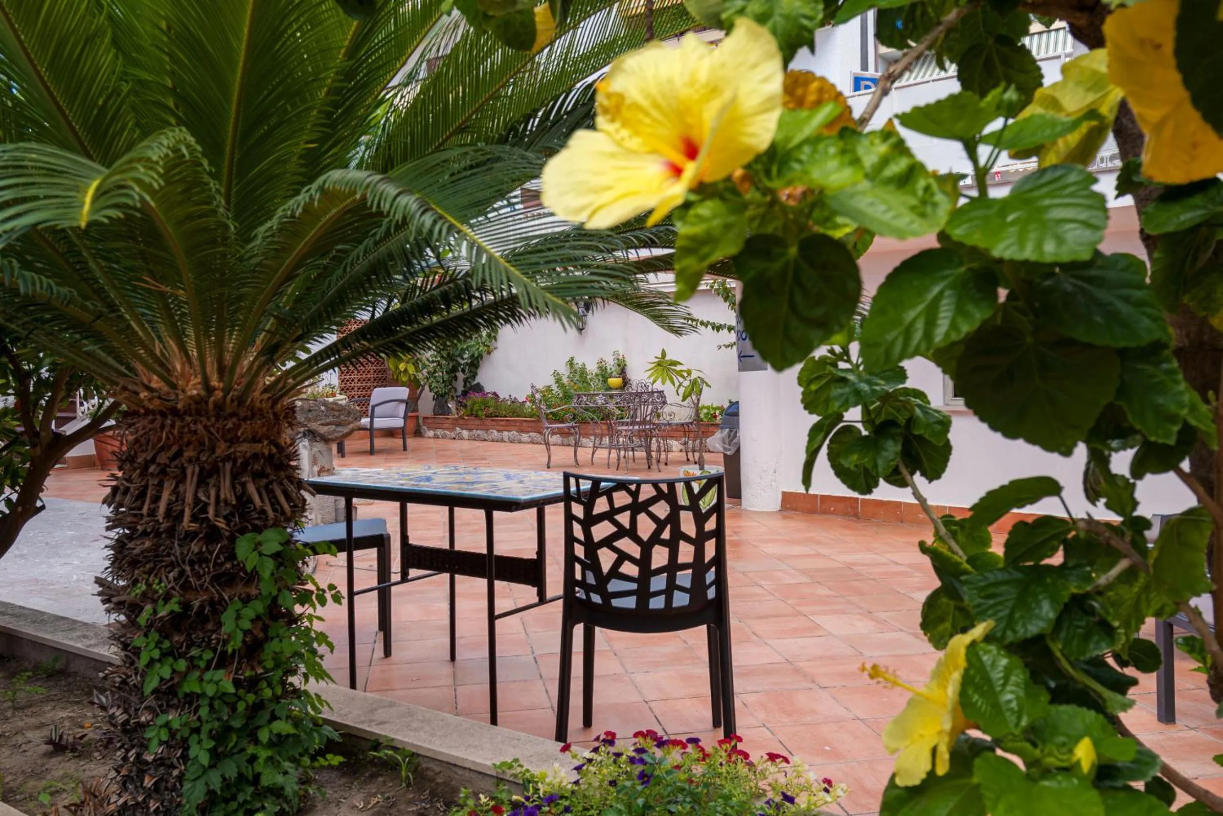 Garden in Hotel Alexander