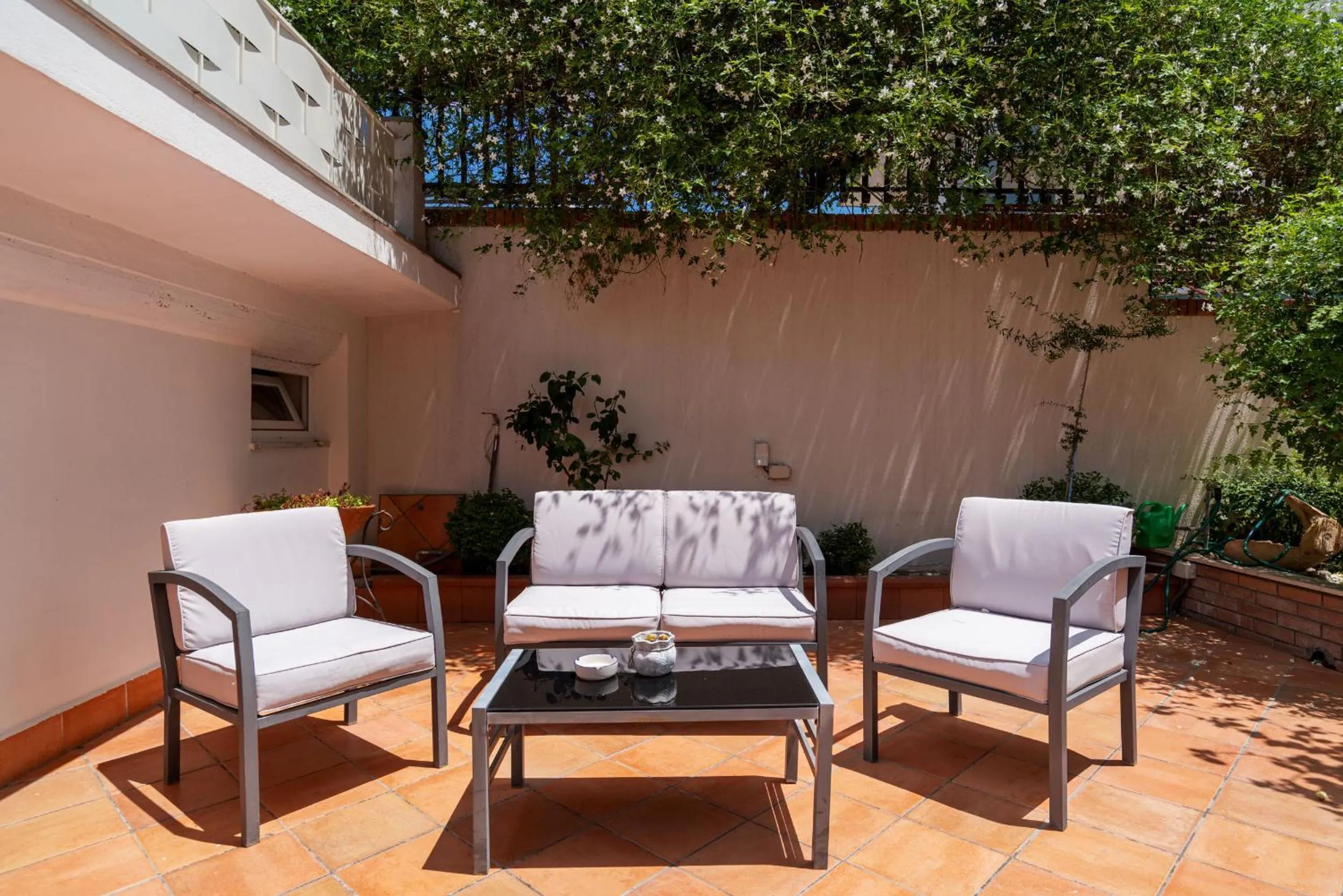 Garden in Hotel Alexander