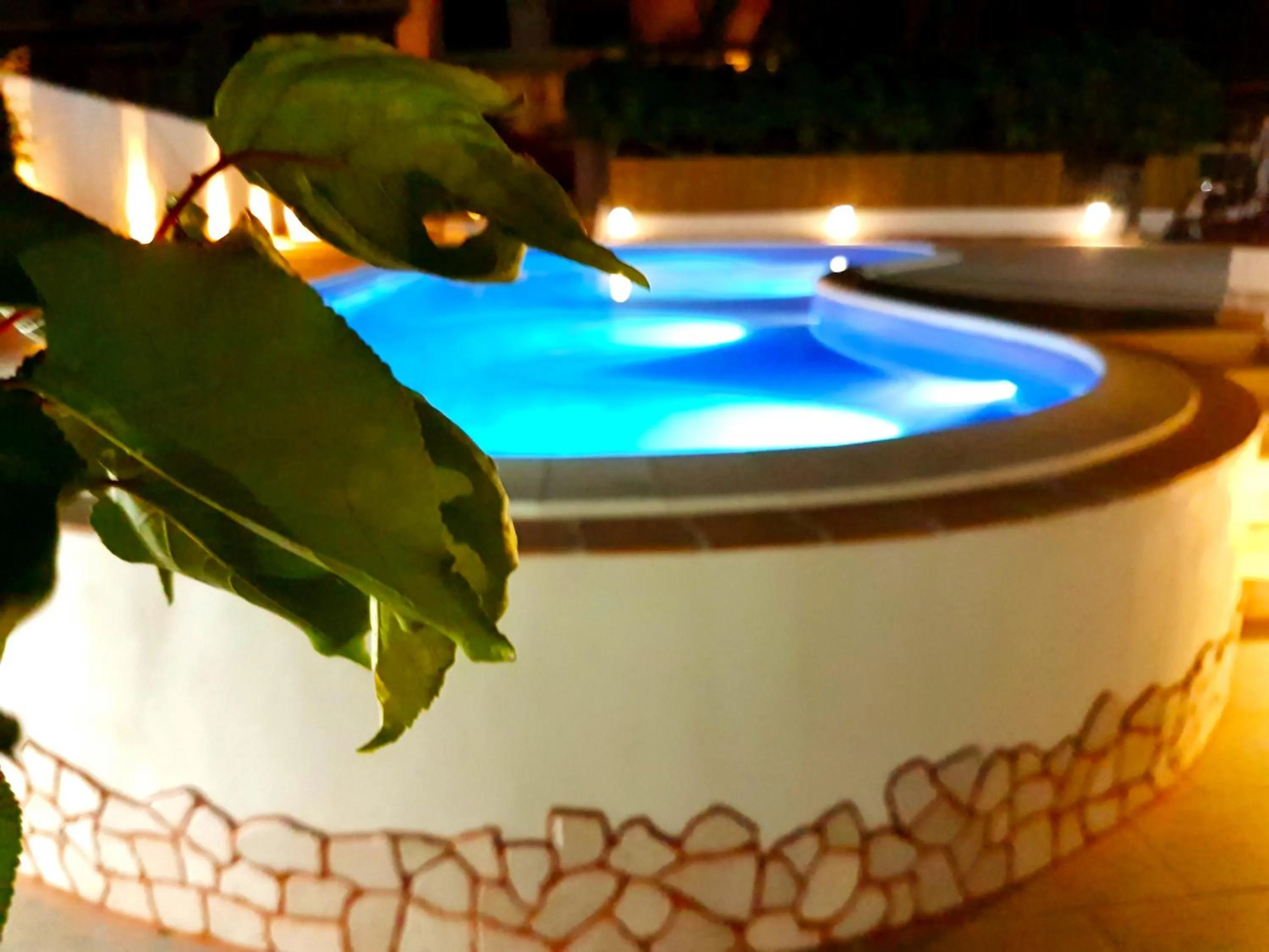 Swimming pool in Hotel Alexander