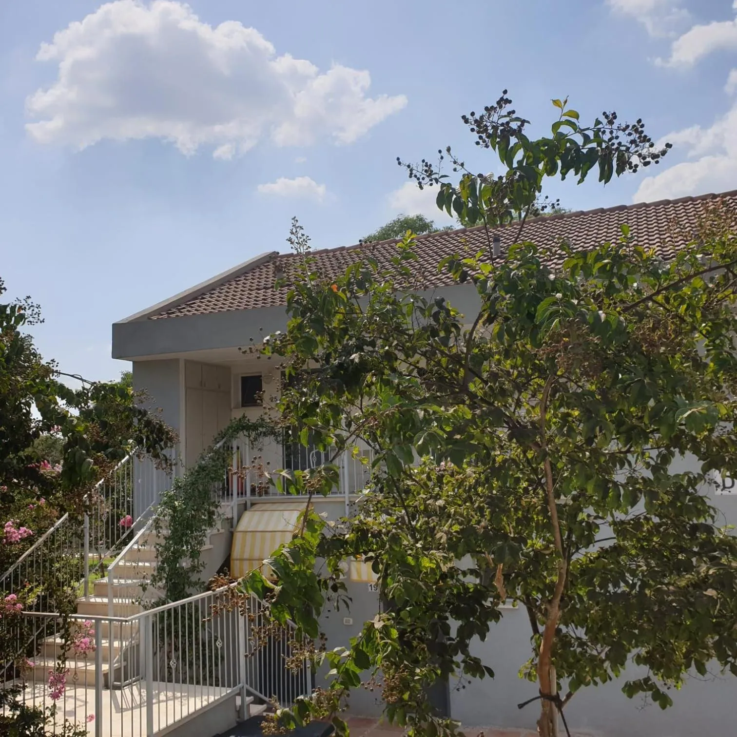Property building in Holiday Village Kibbutz Mizra