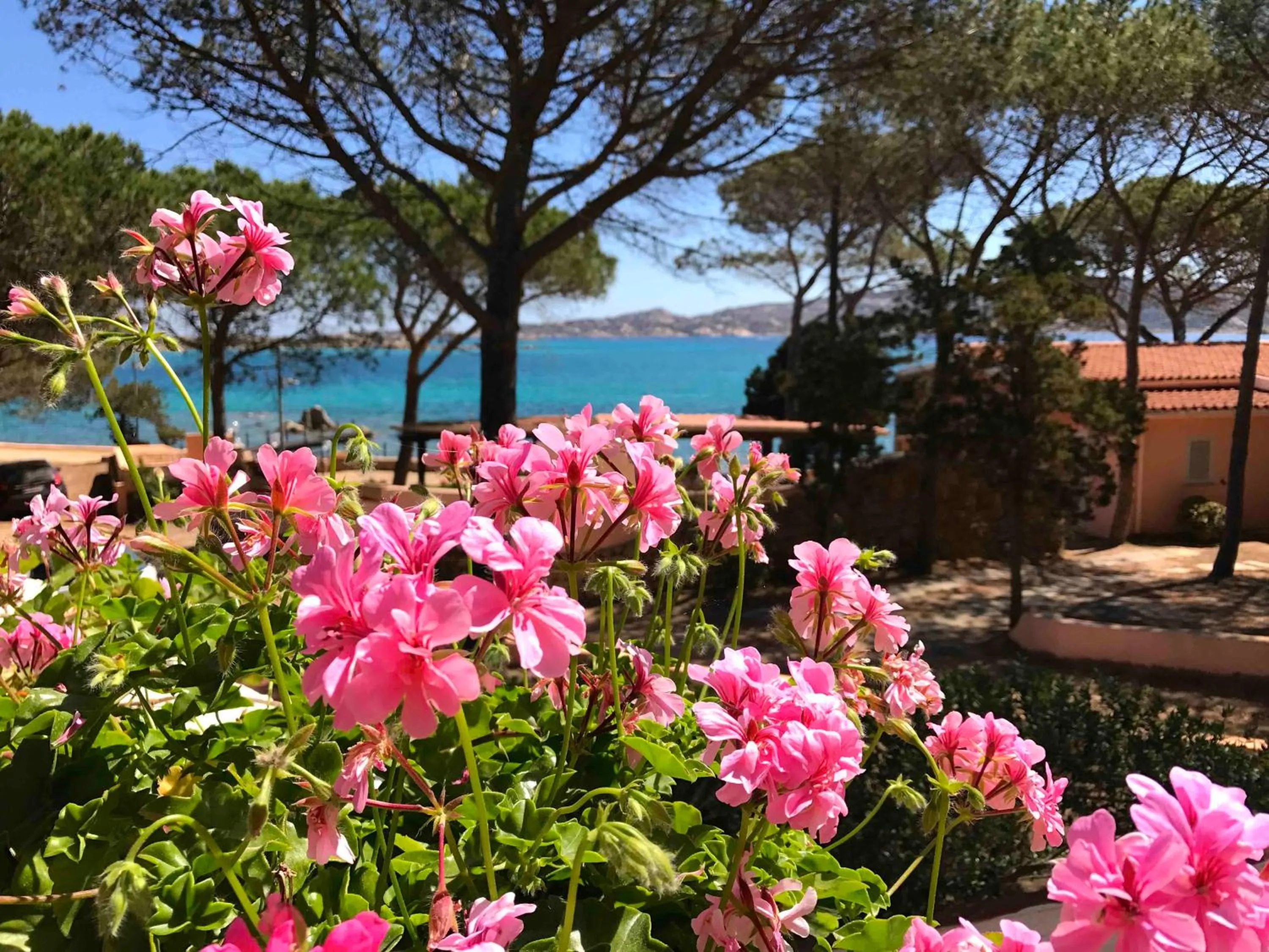 Garden in Villa Maddalena - Giardinelli