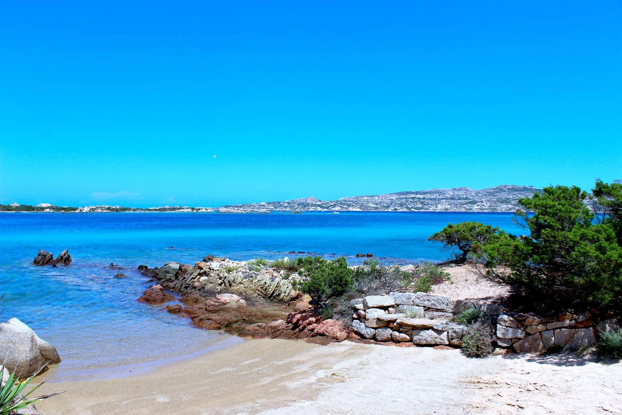 Natural landscape in Villa Maddalena - Giardinelli