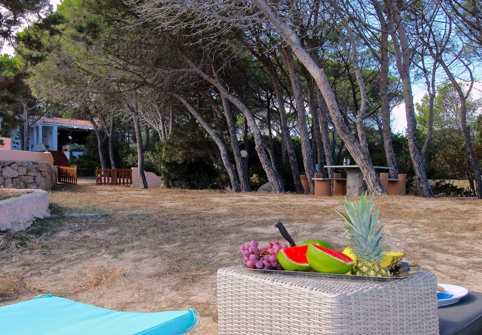 Garden in Villa Maddalena - Giardinelli