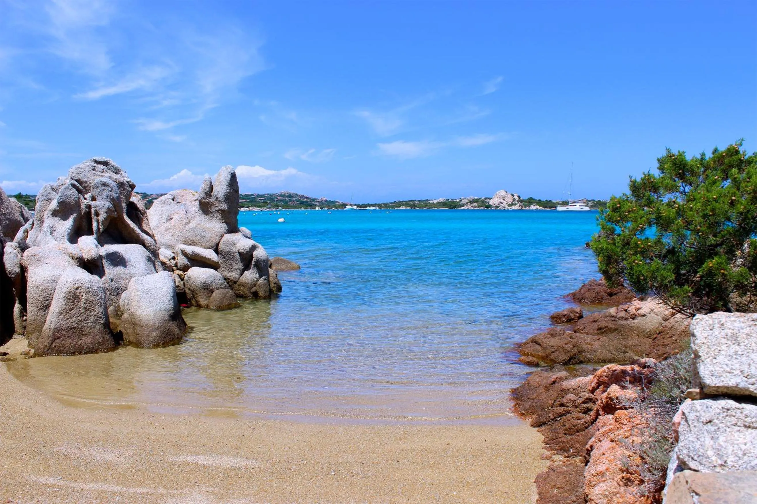 Natural landscape in Villa Maddalena - Giardinelli