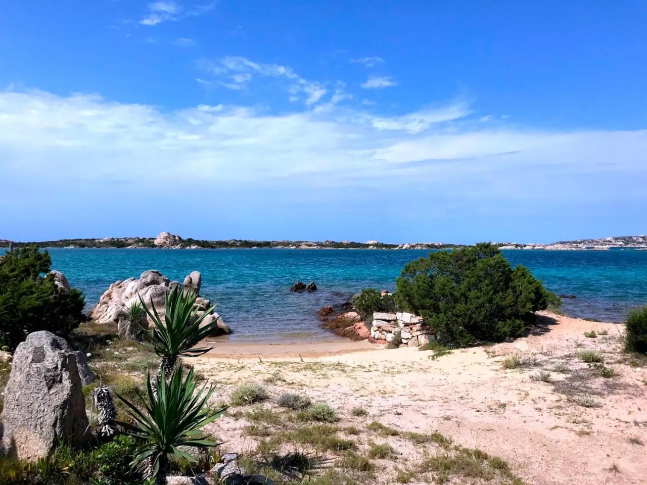 Natural landscape in Villa Maddalena - Giardinelli