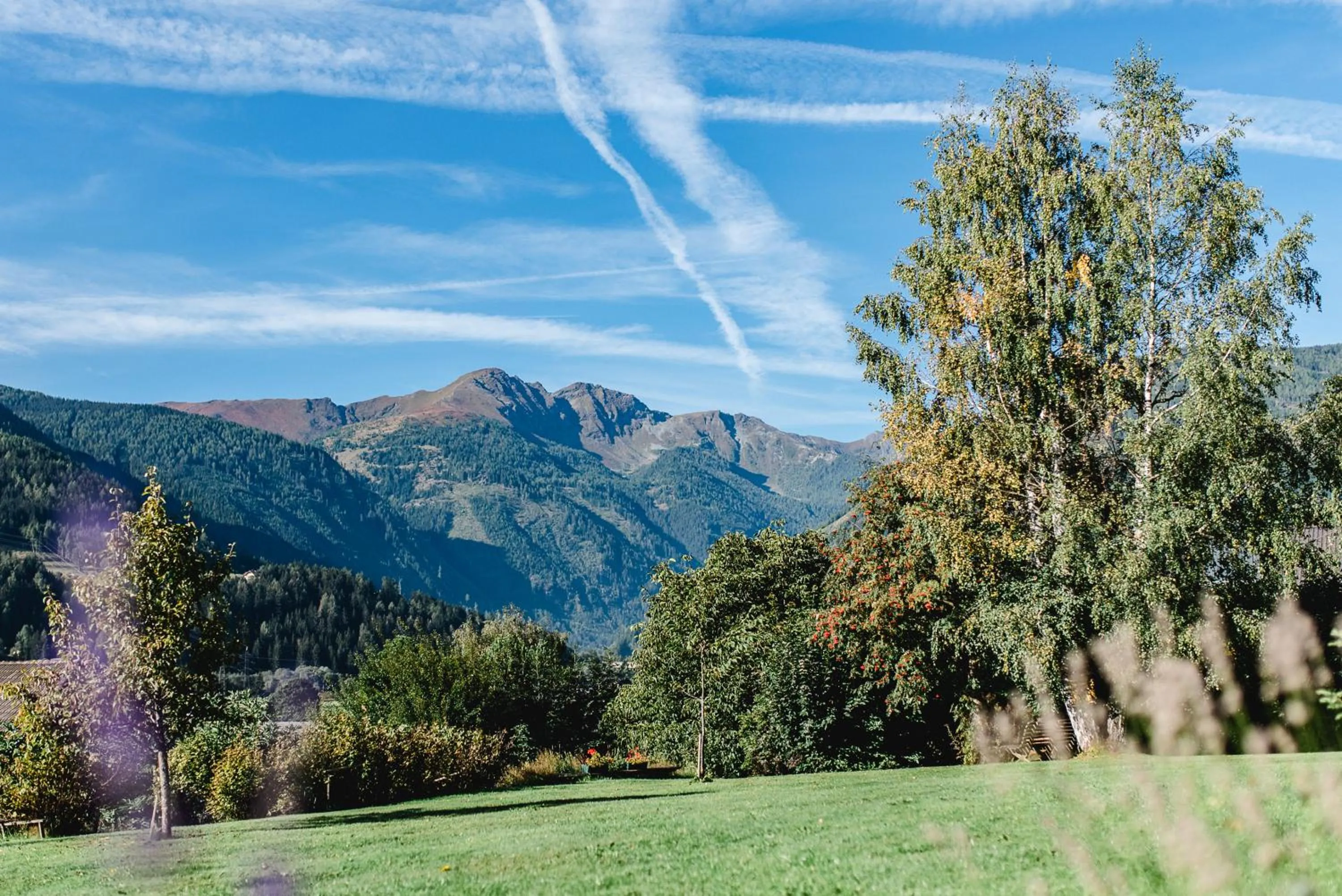 Natural landscape in Appartement Haus Moser