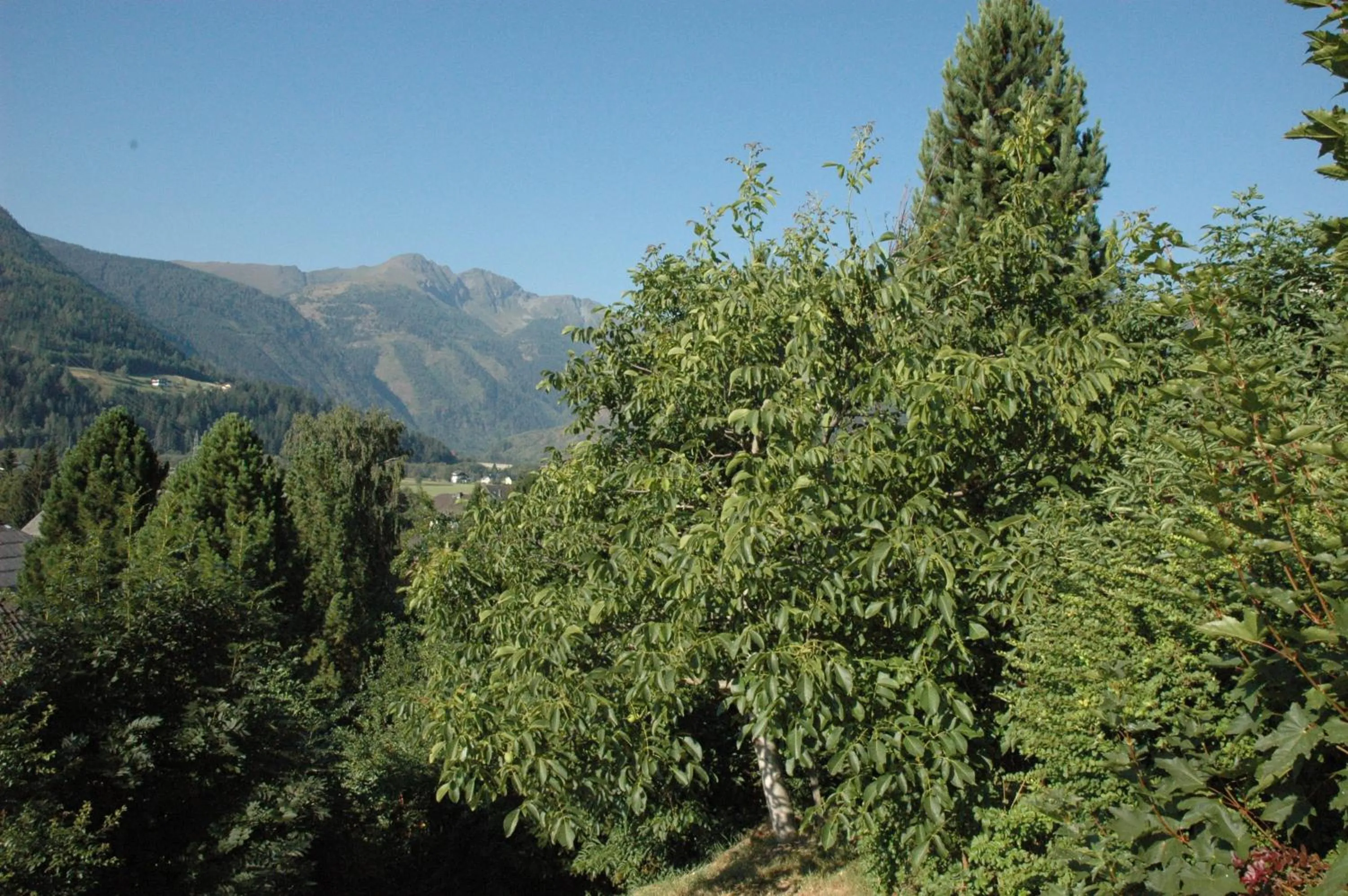 Natural landscape in Appartement Haus Moser