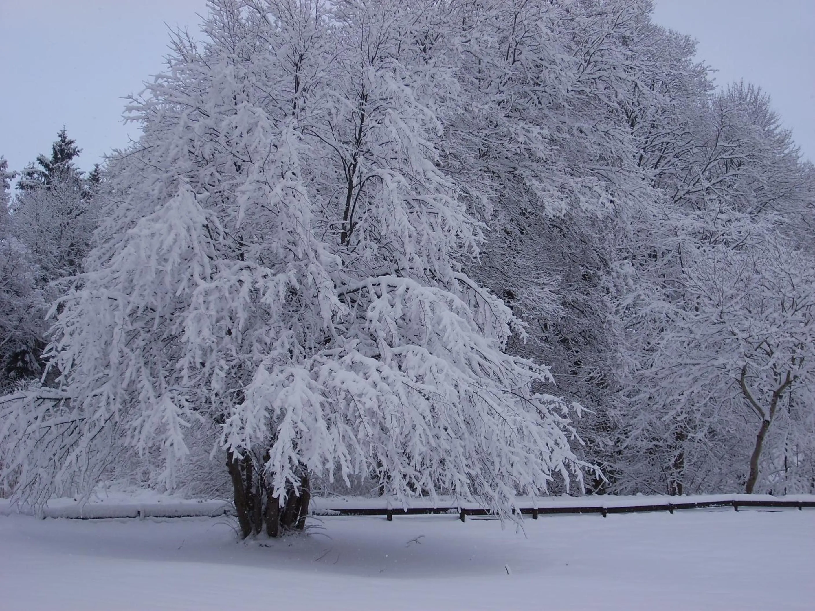 Spånhults Herrgård Hotel