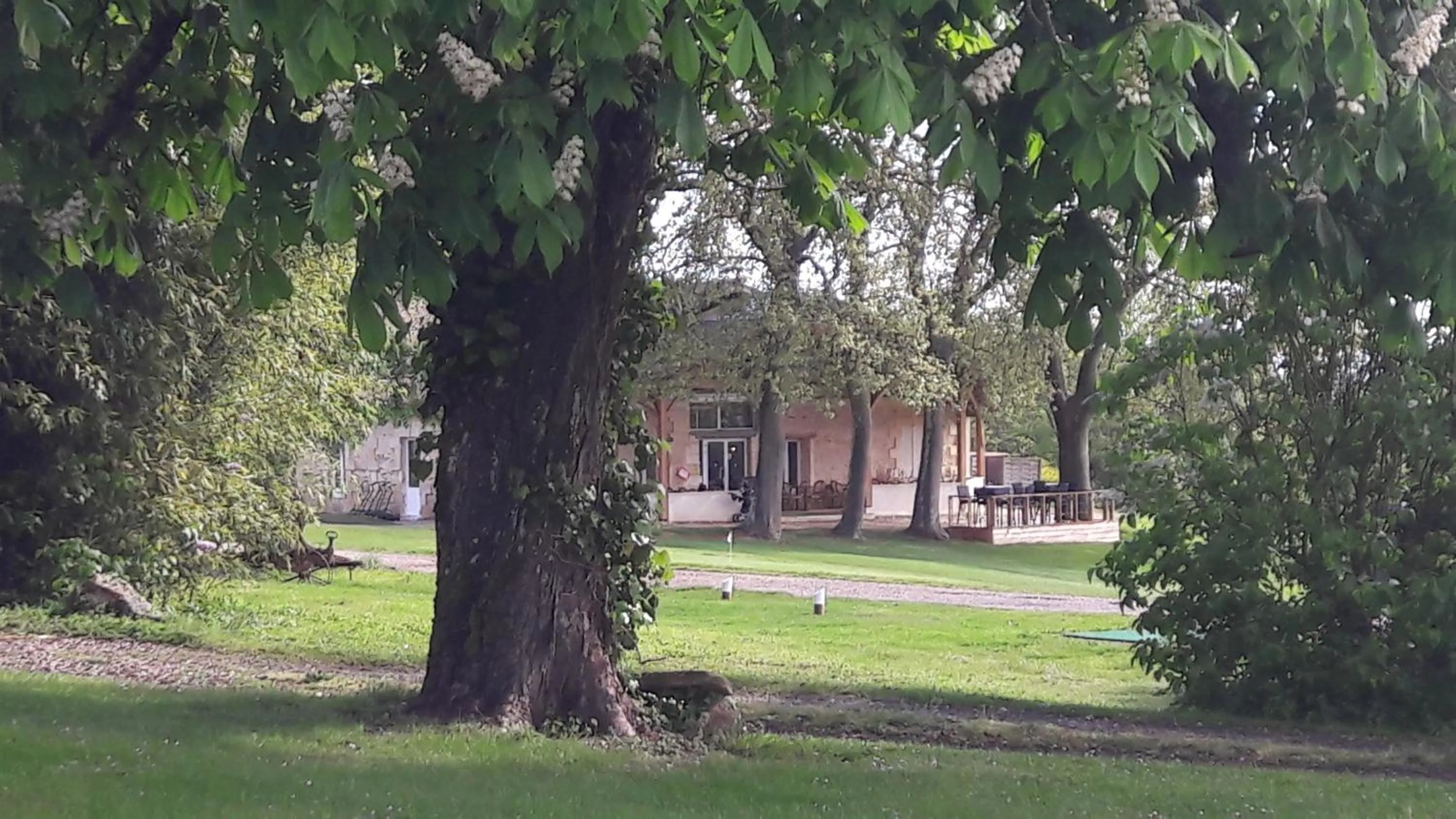 Golf de TEYNAC