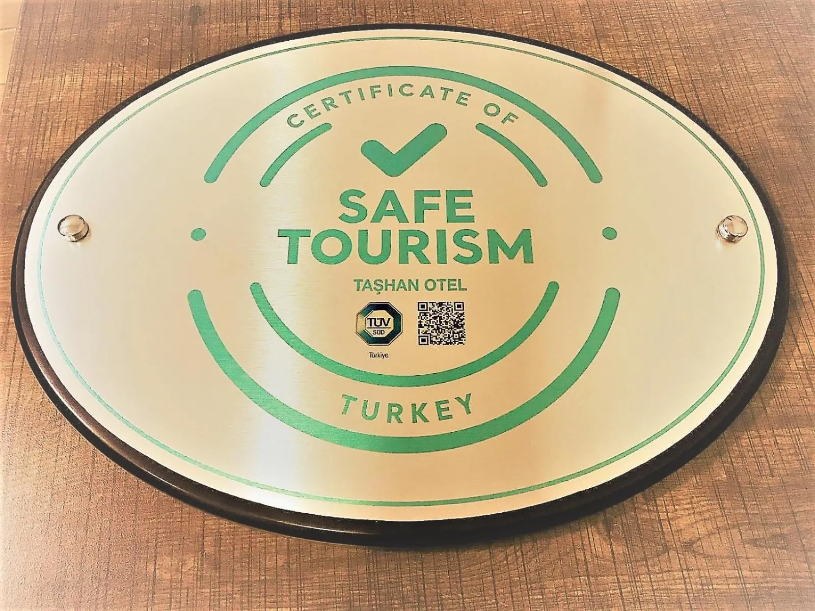 Property logo or sign in Bakirkoy Tashan Business & Airport Hotel