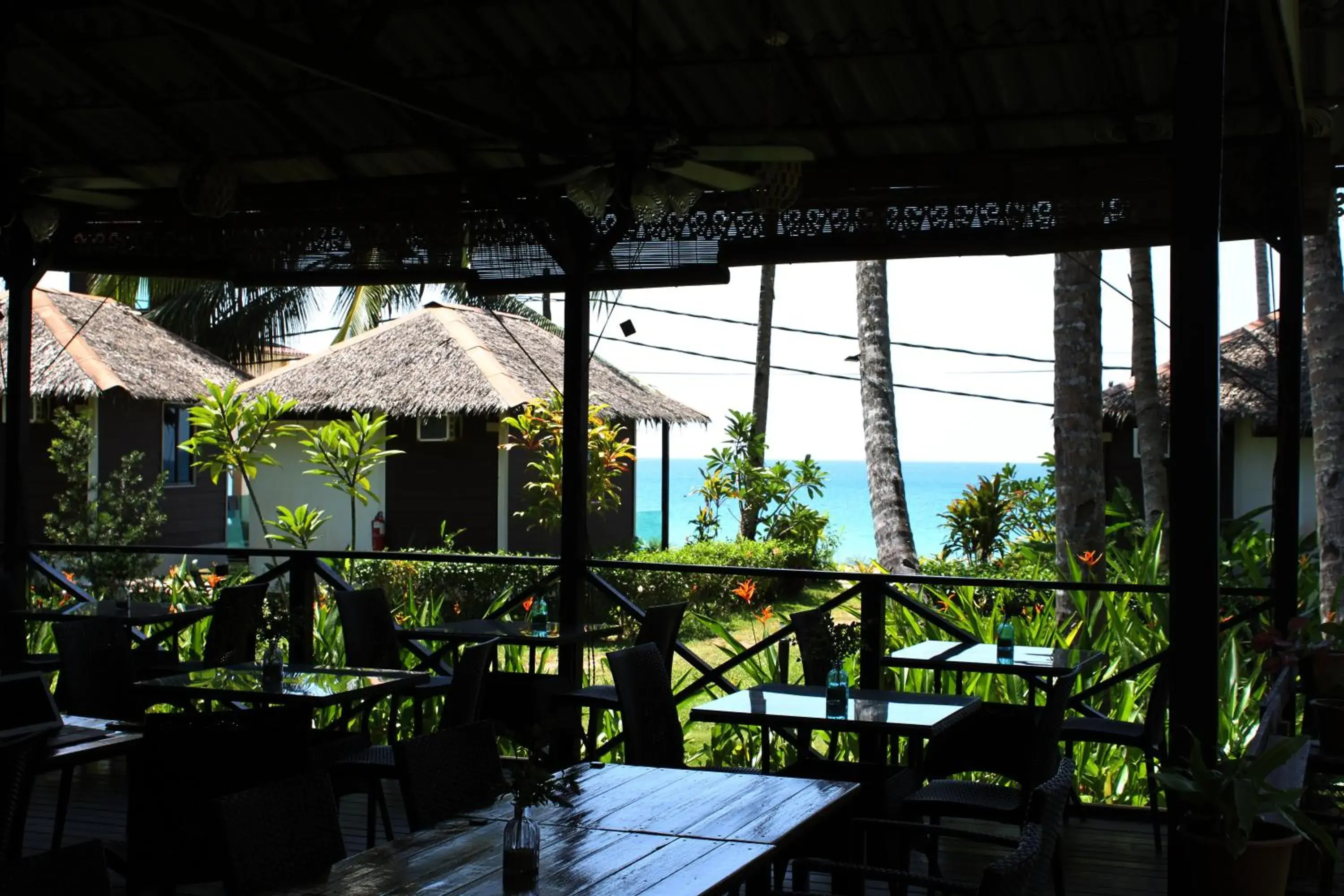 Restaurant/places to eat in 1511 Coconut Grove Restaurant/places to eat in 1511 Coconut Grove