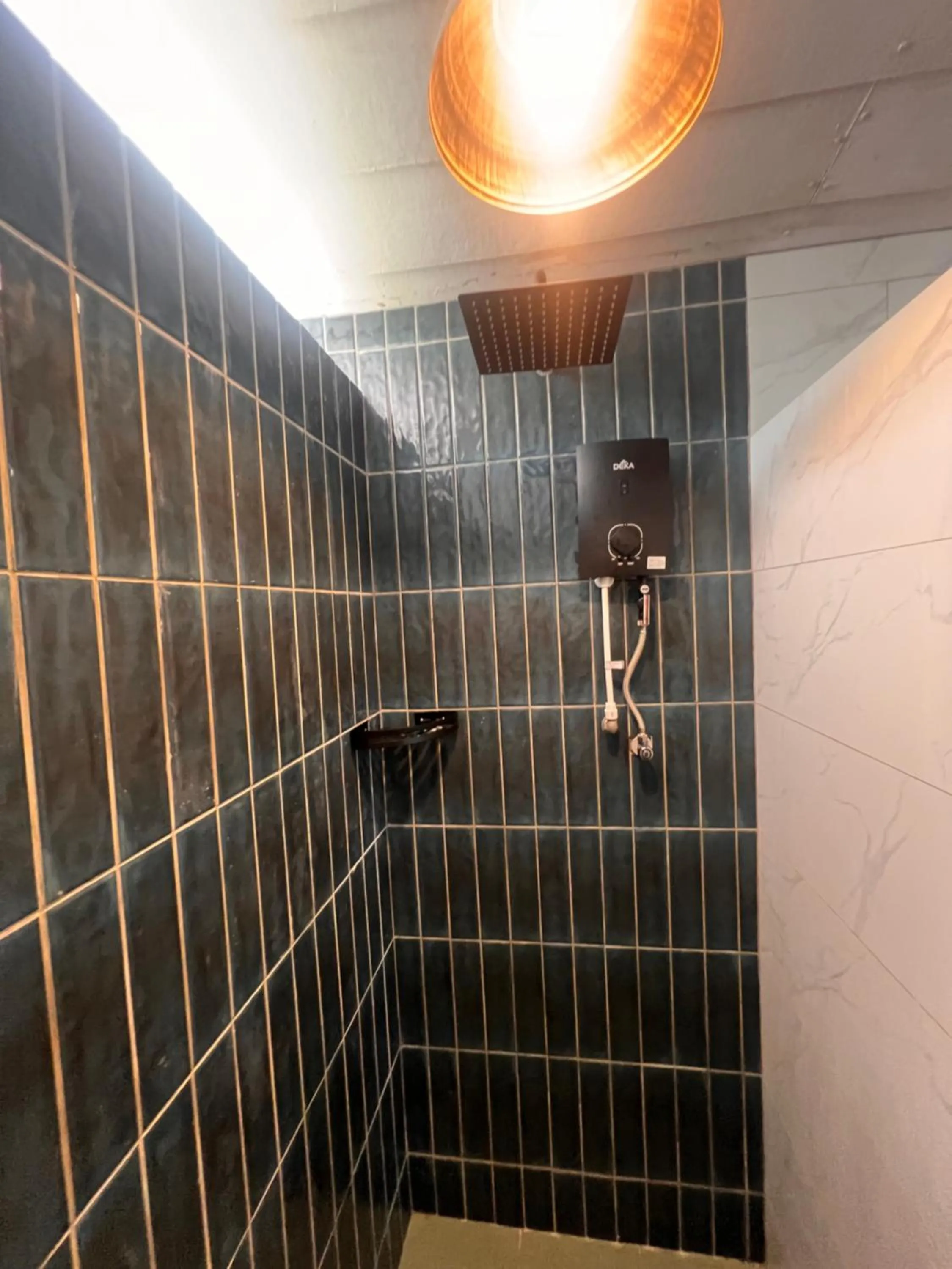 Shower in 1511 Coconut Grove