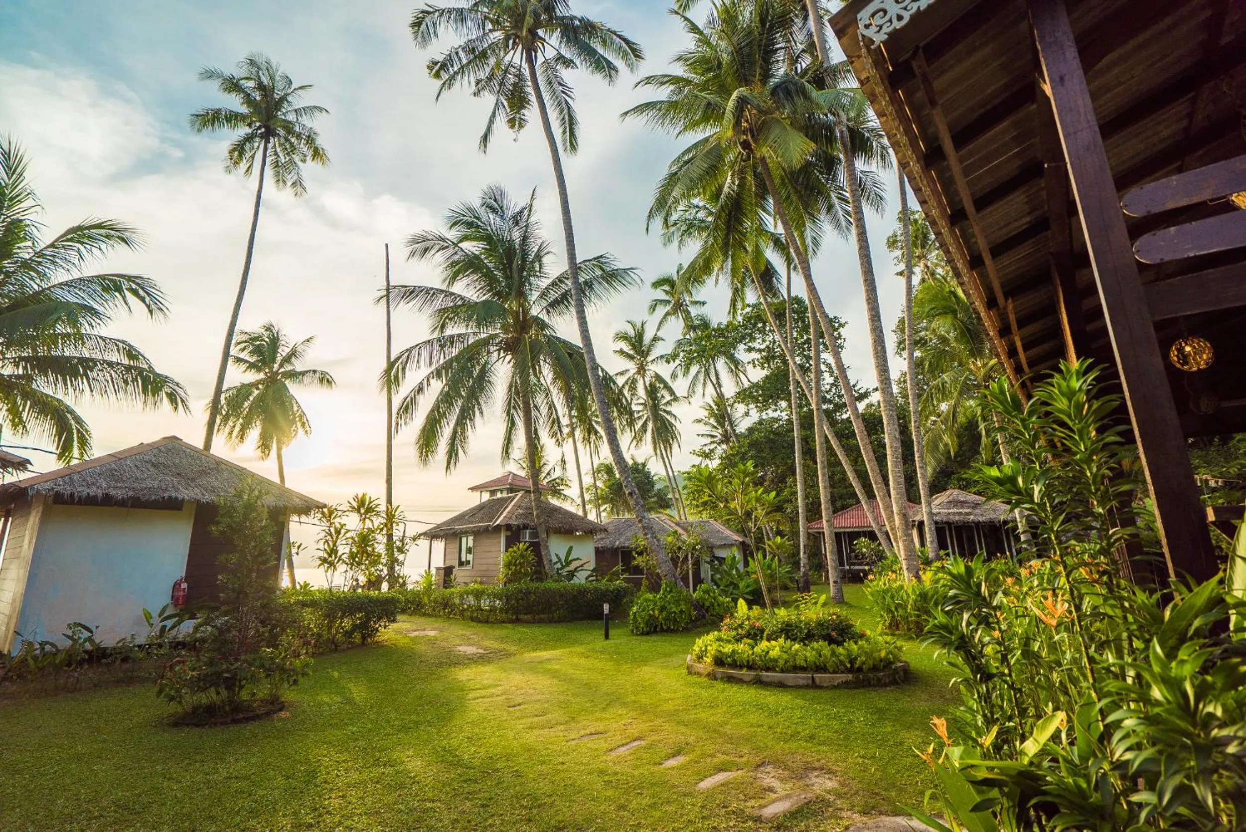 Garden in 1511 Coconut Grove