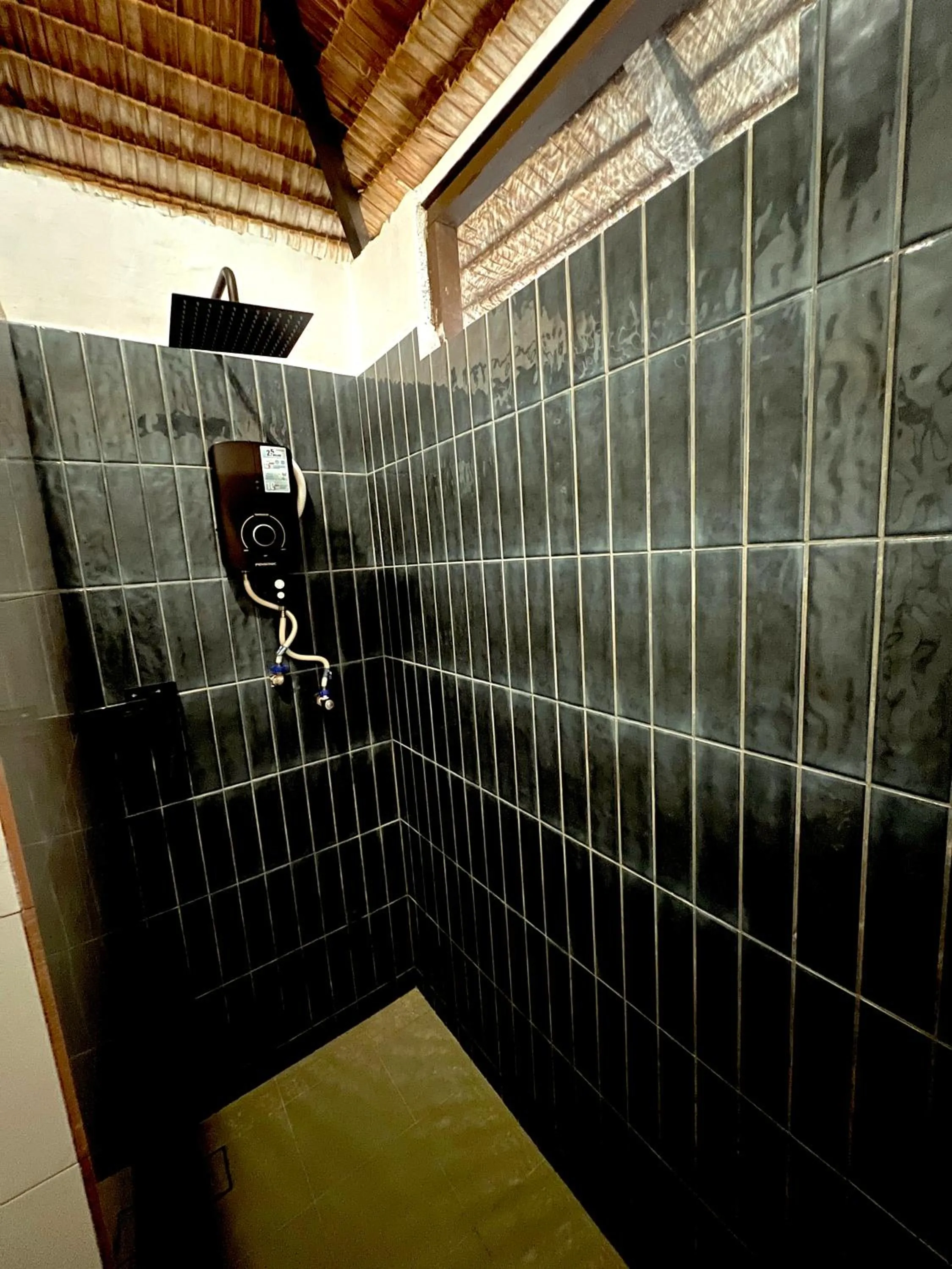 Shower in 1511 Coconut Grove