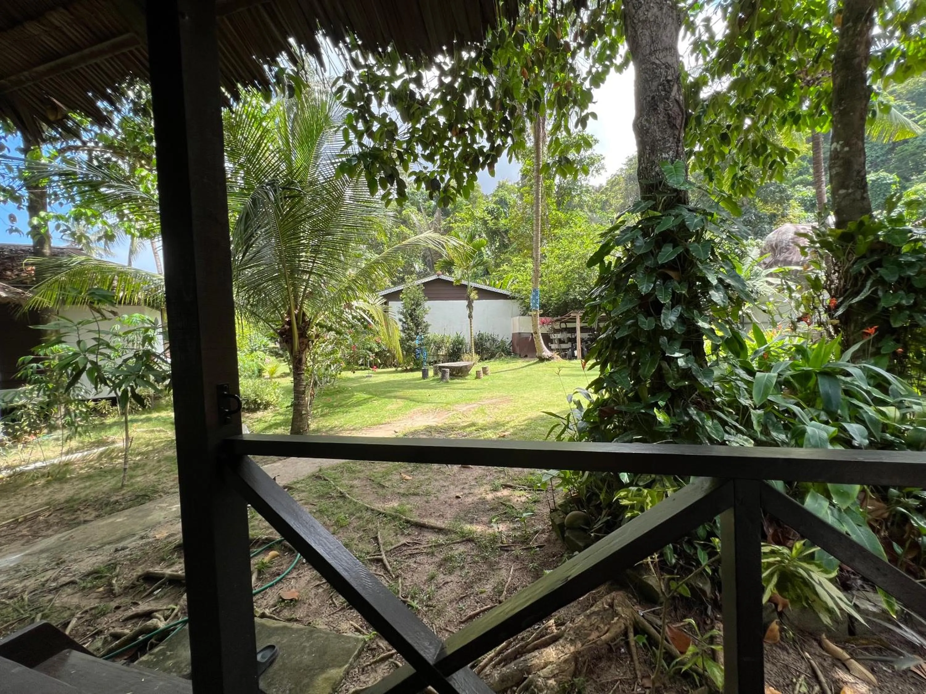 Garden view in 1511 Coconut Grove