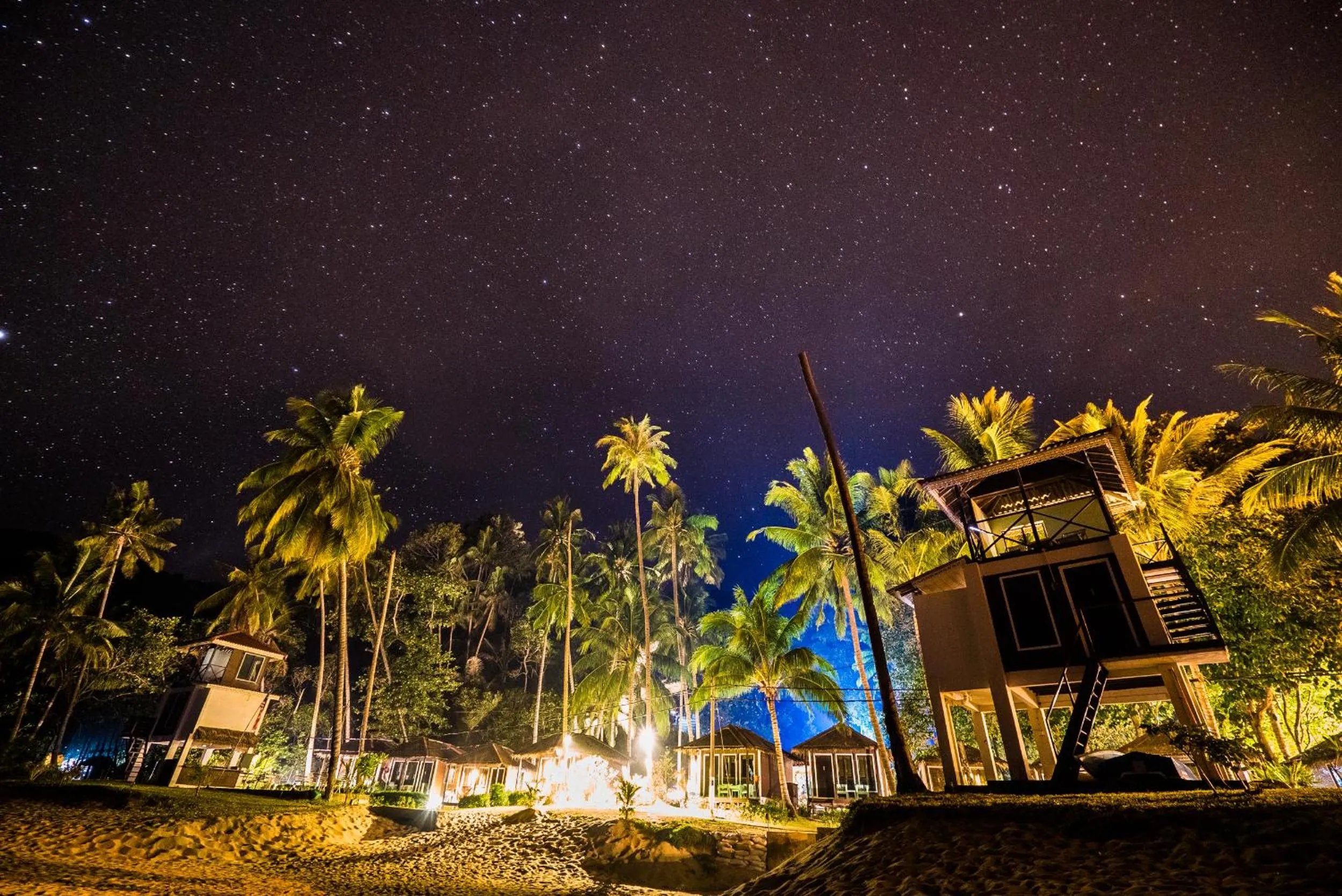 Natural landscape in 1511 Coconut Grove