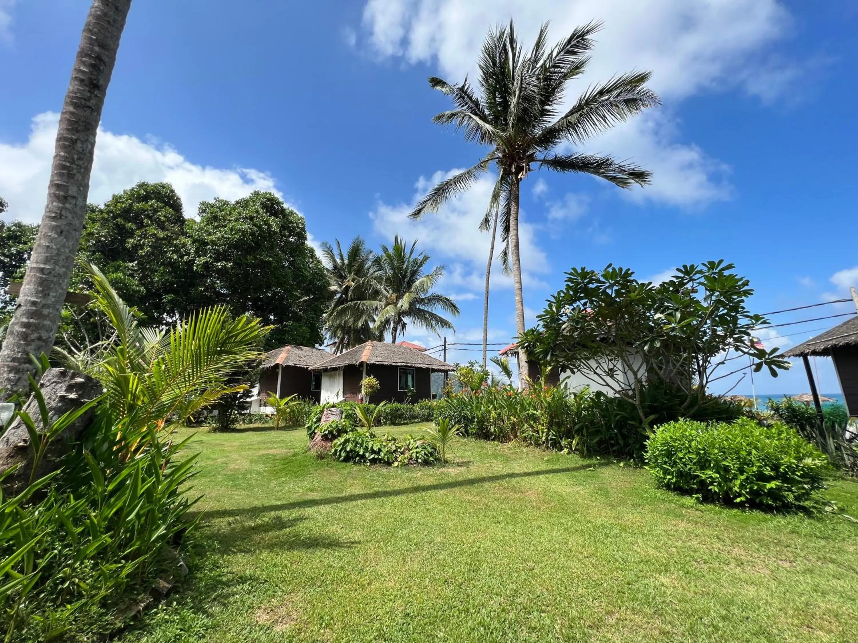 Garden in 1511 Coconut Grove