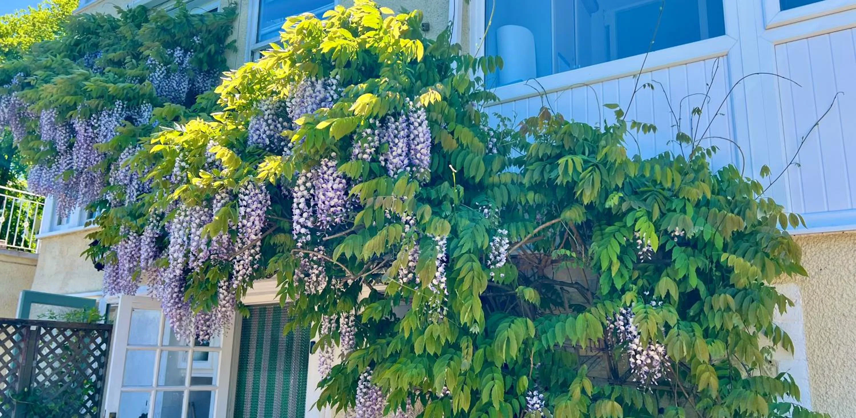 Property building in The Charterhouse