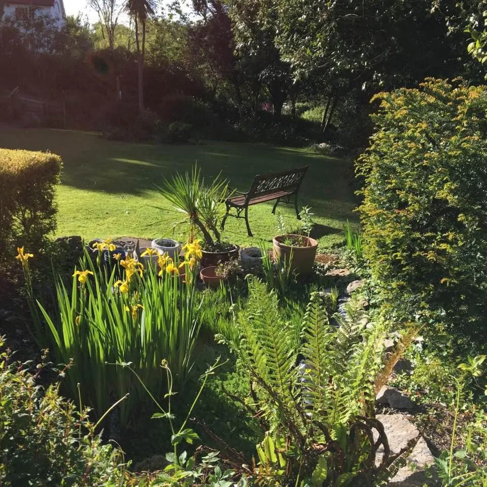 Garden in The Charterhouse