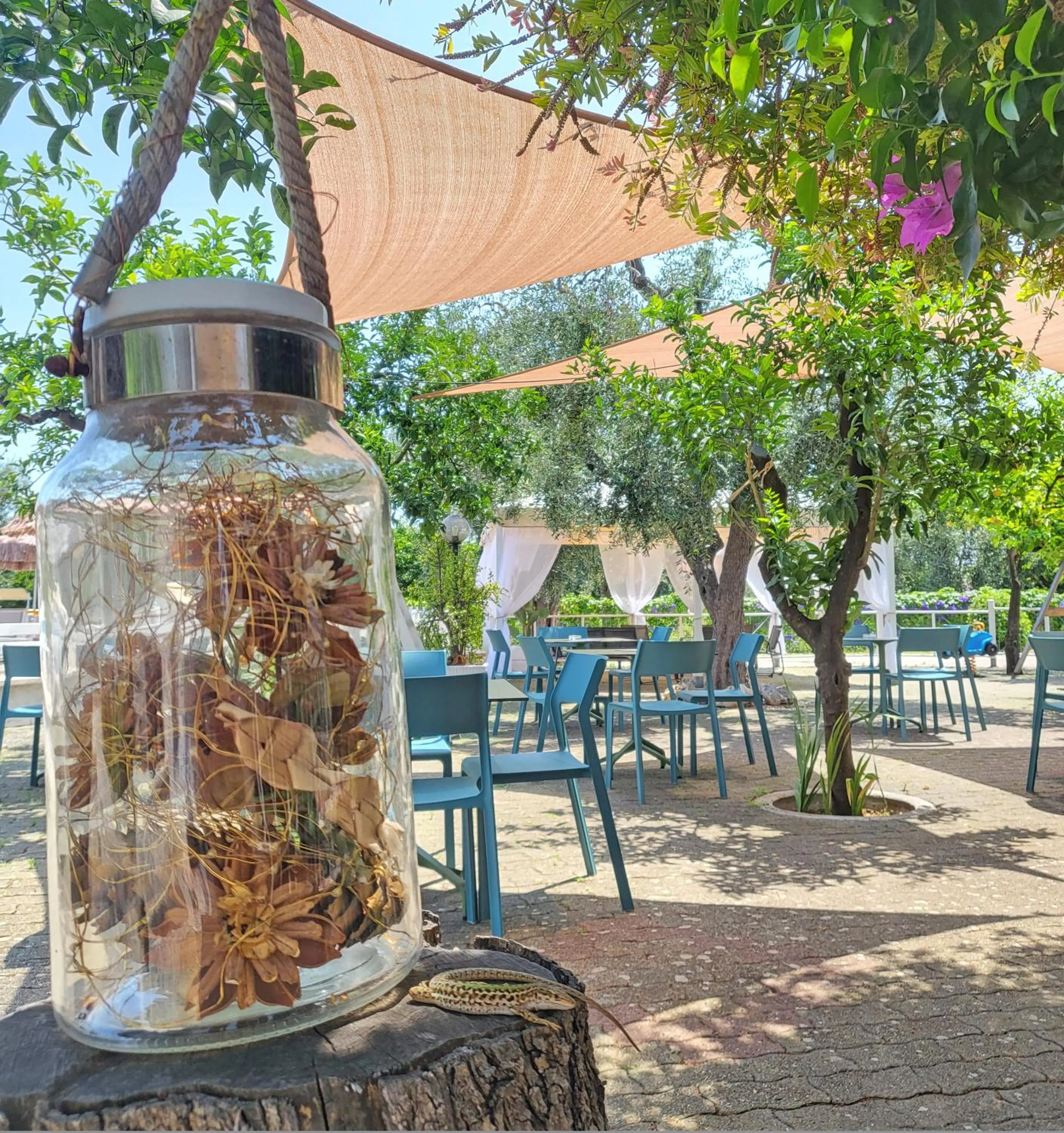 Garden in Hotel Residence Torre Del Porto