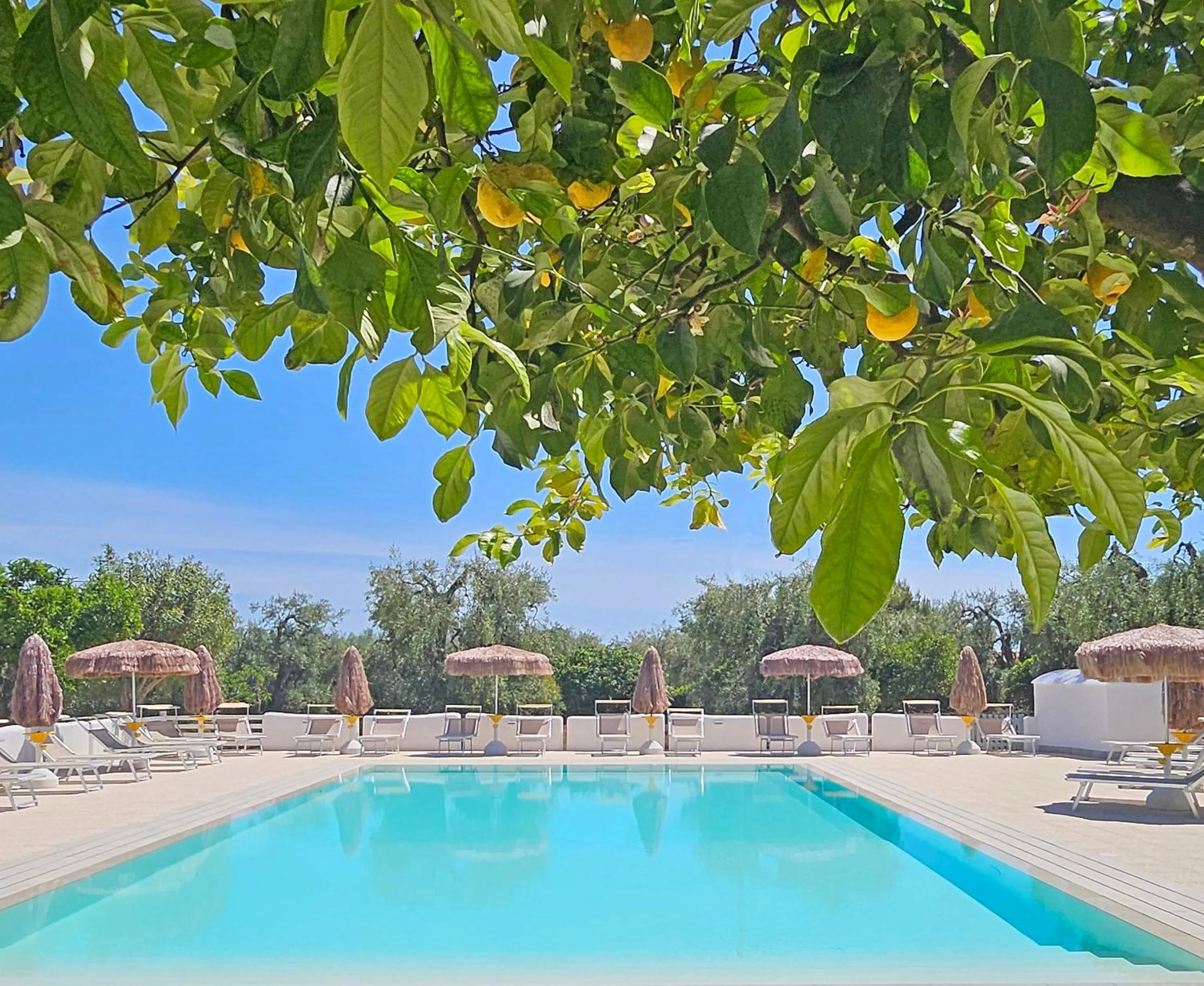 Solarium in Hotel Residence Torre Del Porto