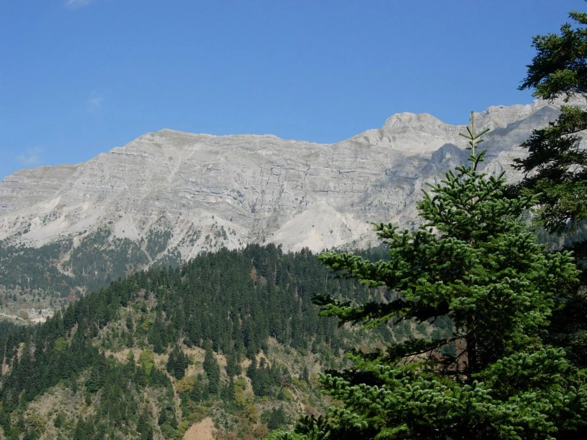 Off site in Xenonas Kypseli