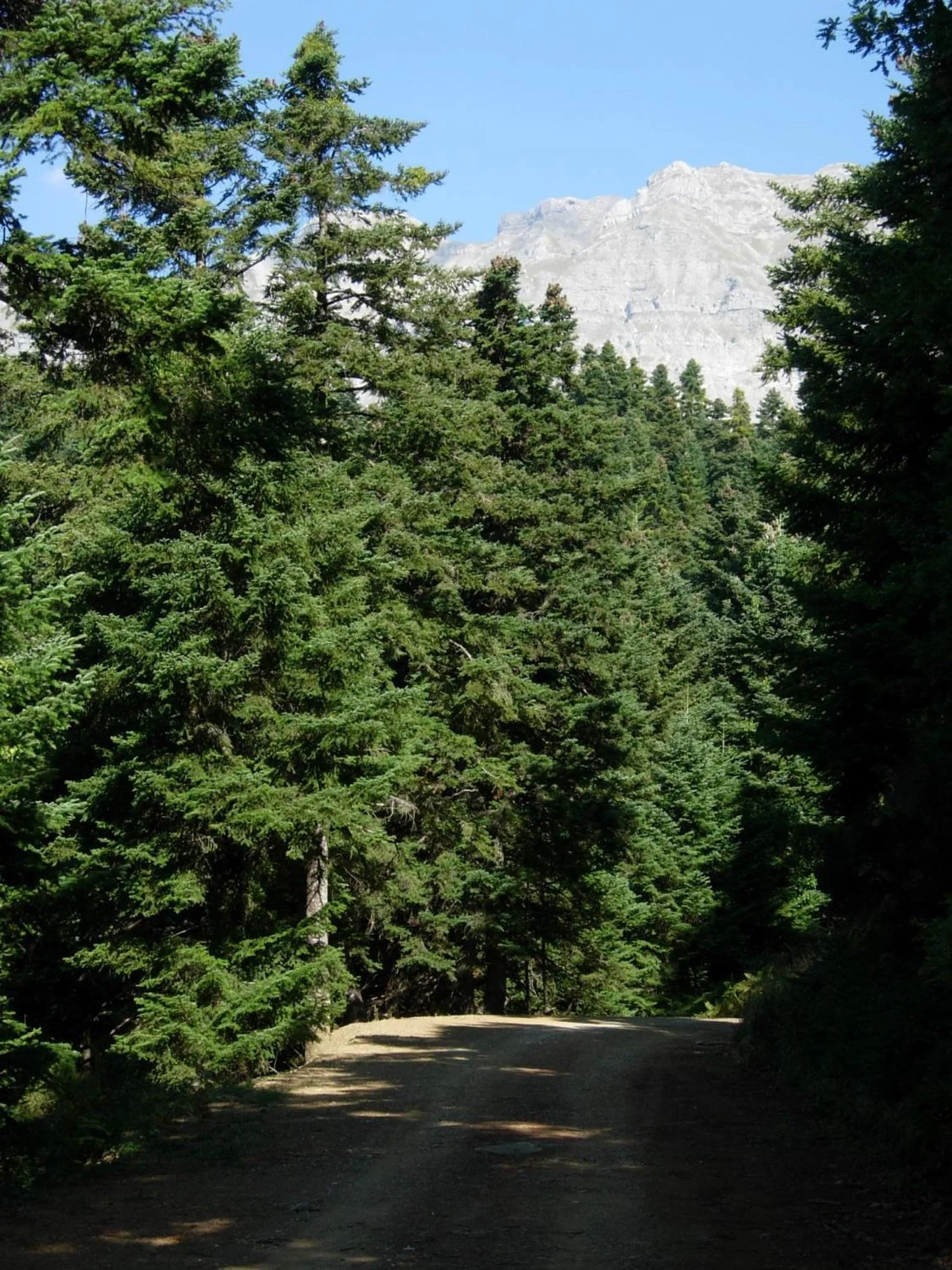 Sports in Xenonas Kypseli