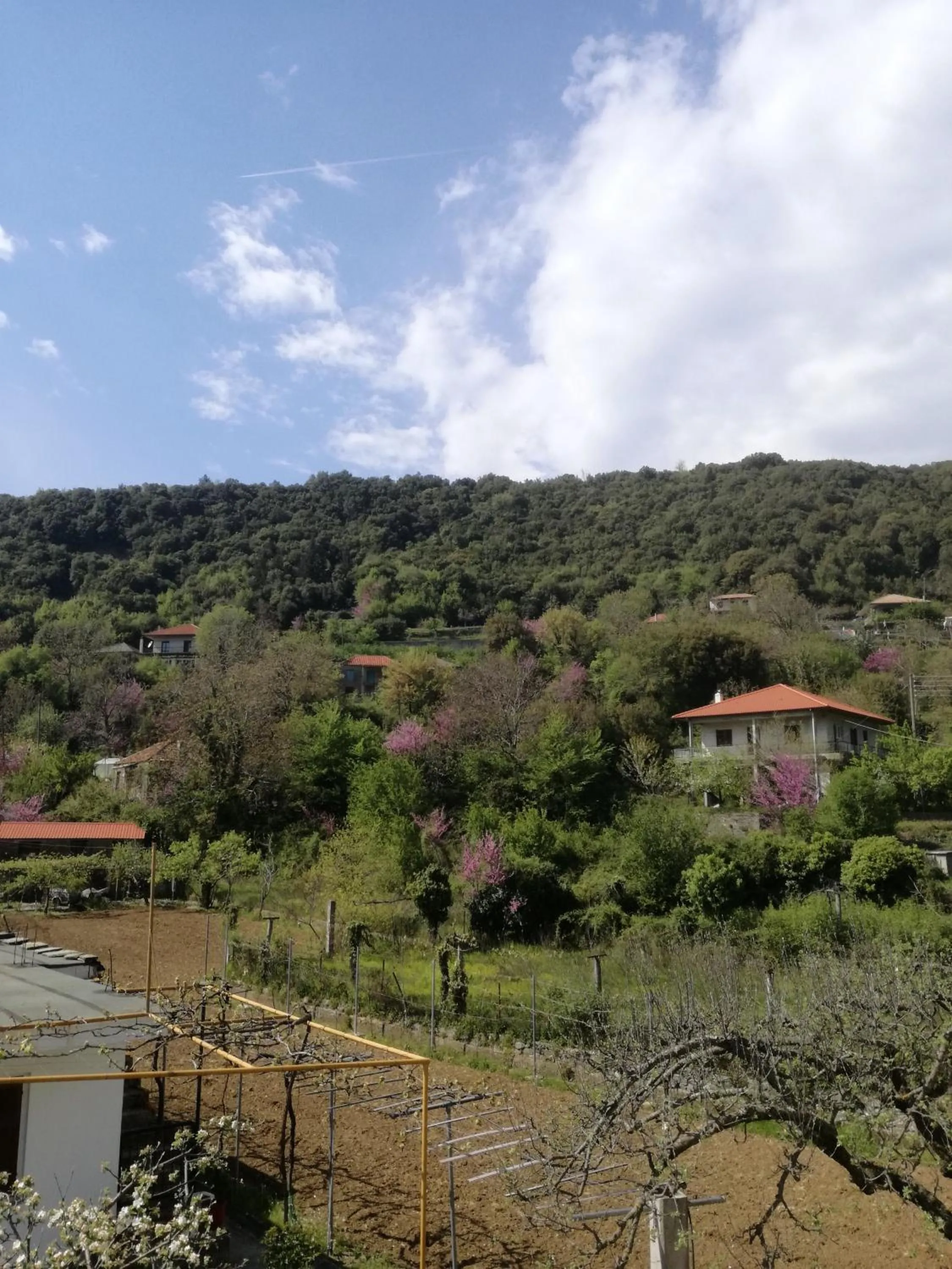 Natural landscape in Xenonas Kypseli