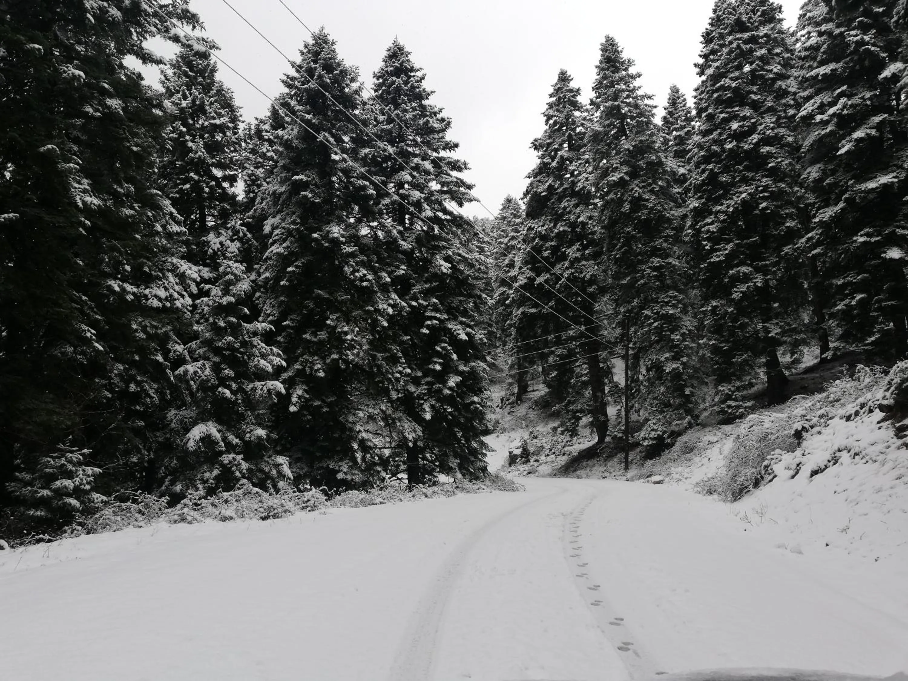 Day in Xenonas Kypseli