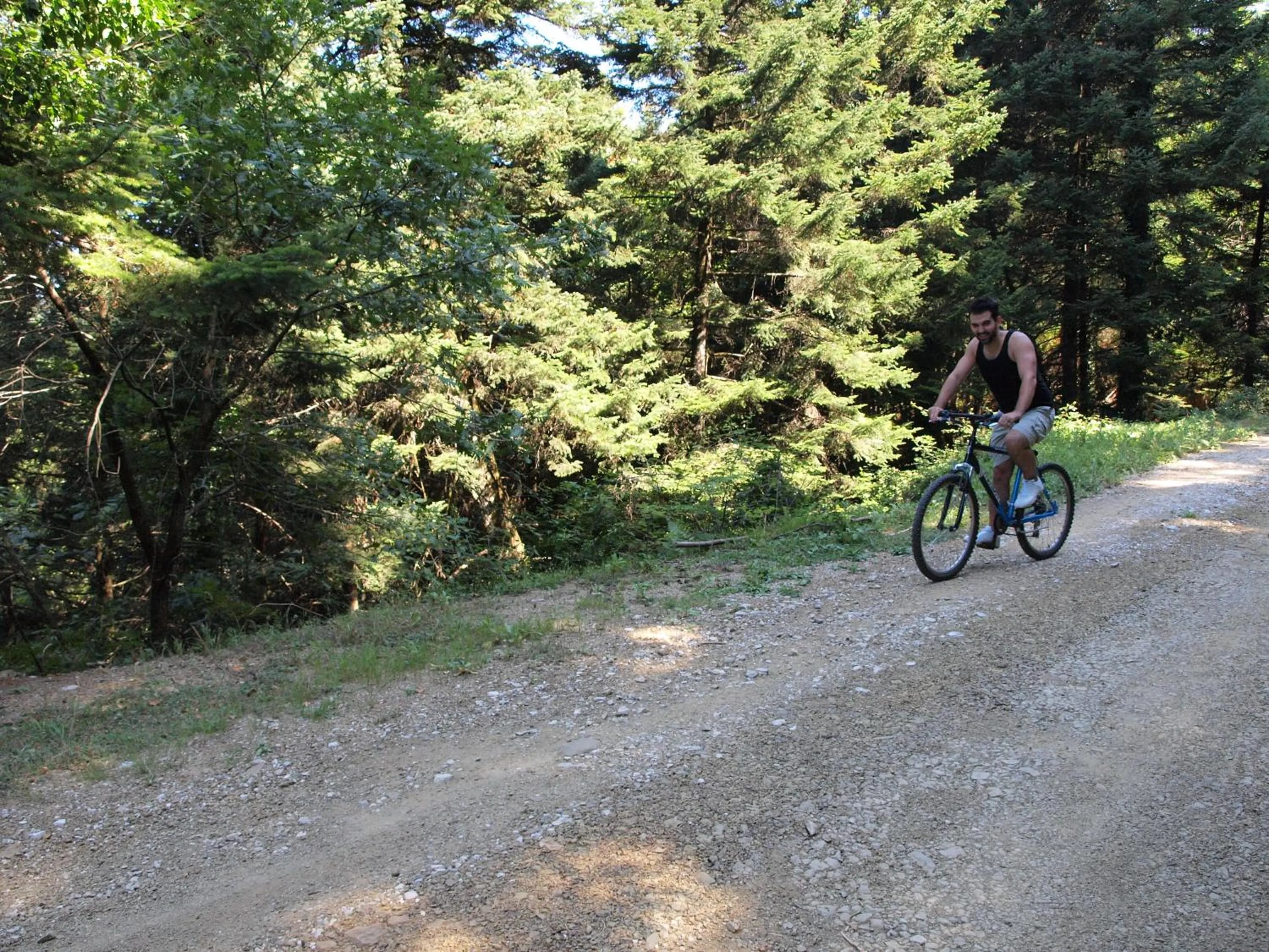 Cycling in Xenonas Kypseli