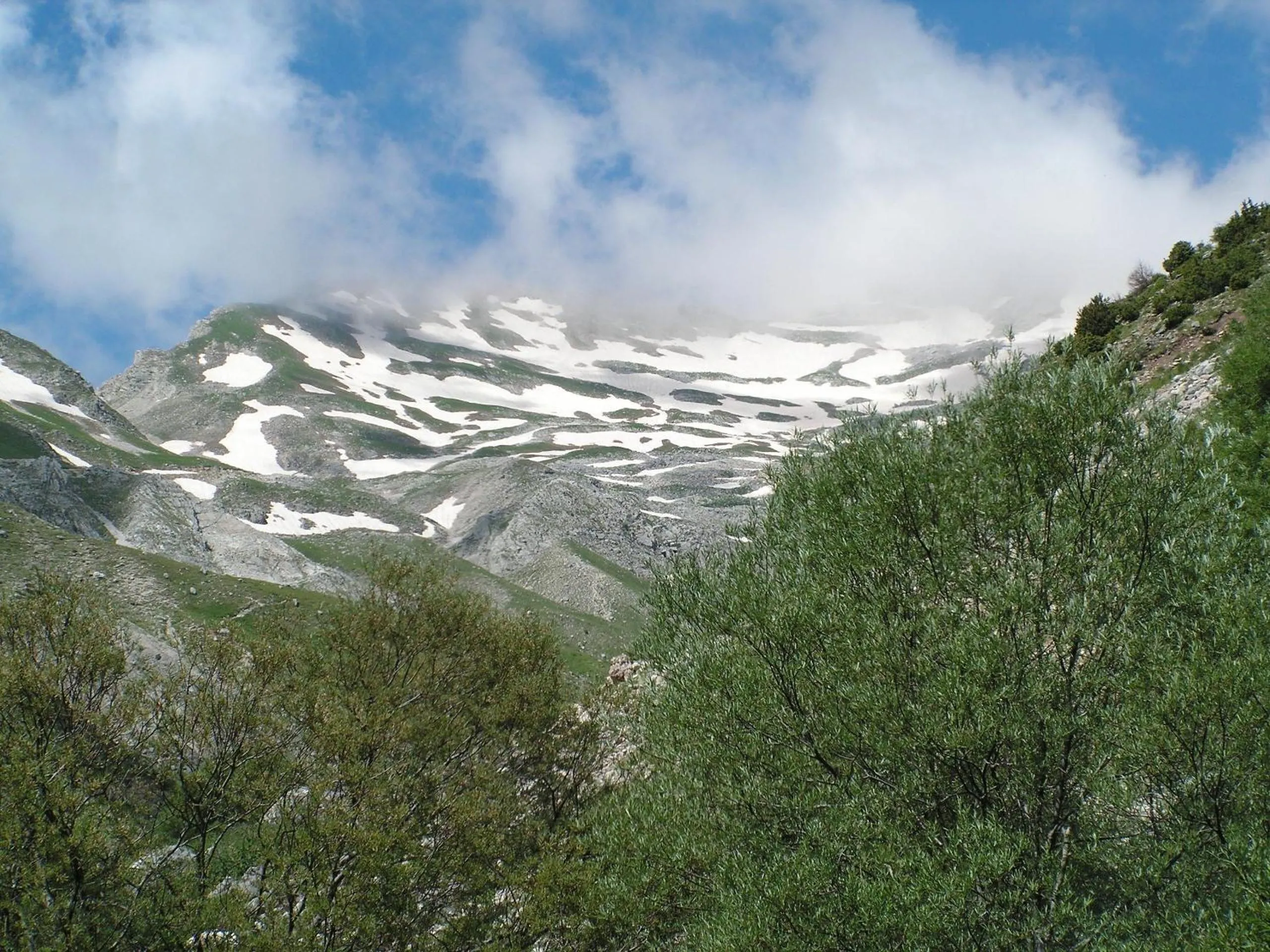 Mountain view in Xenonas Kypseli
