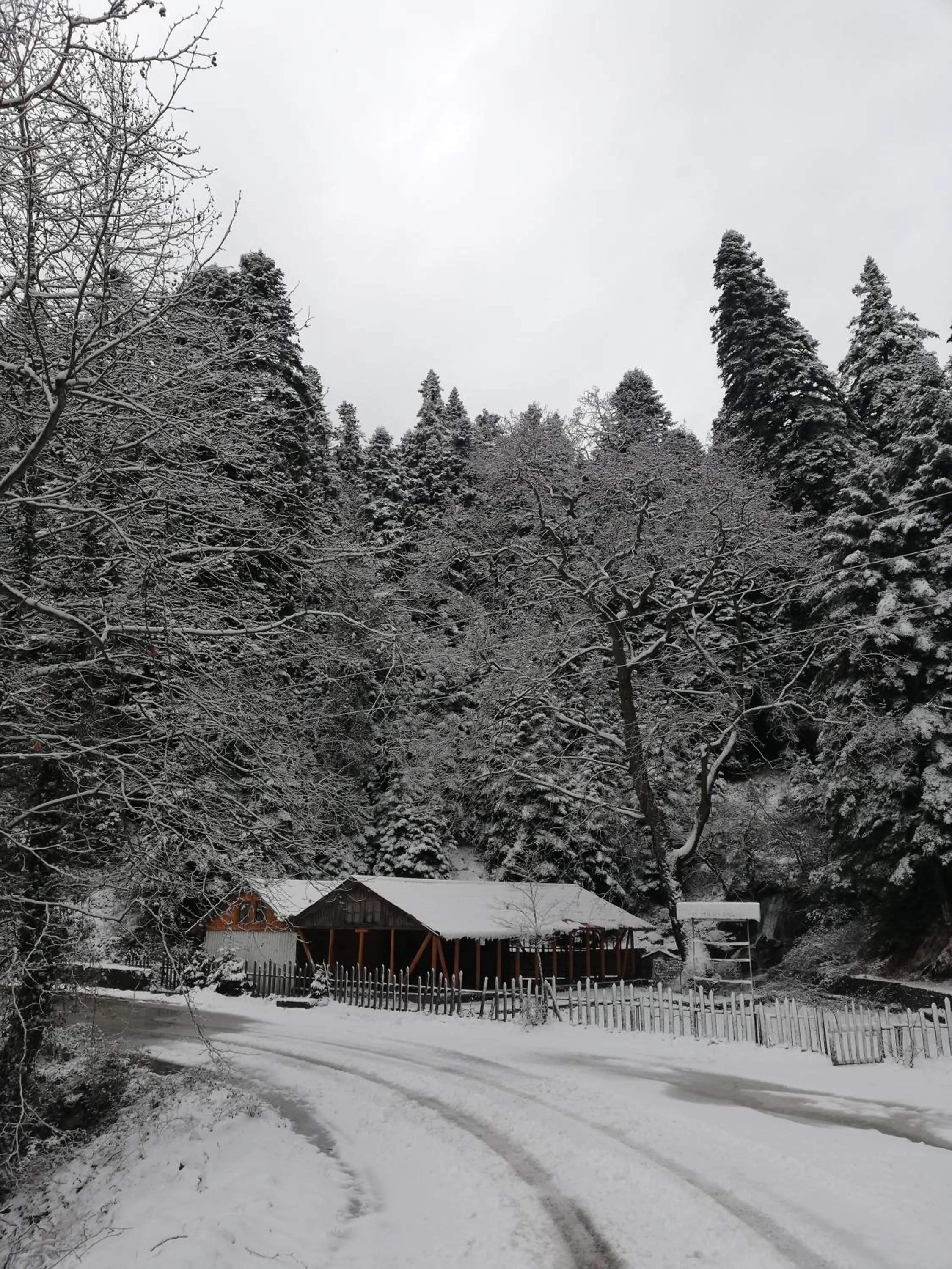 Day in Xenonas Kypseli