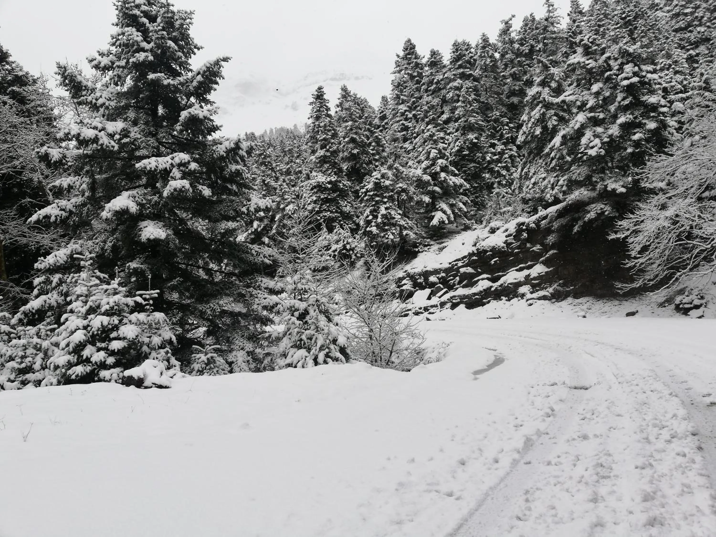 Natural landscape in Xenonas Kypseli