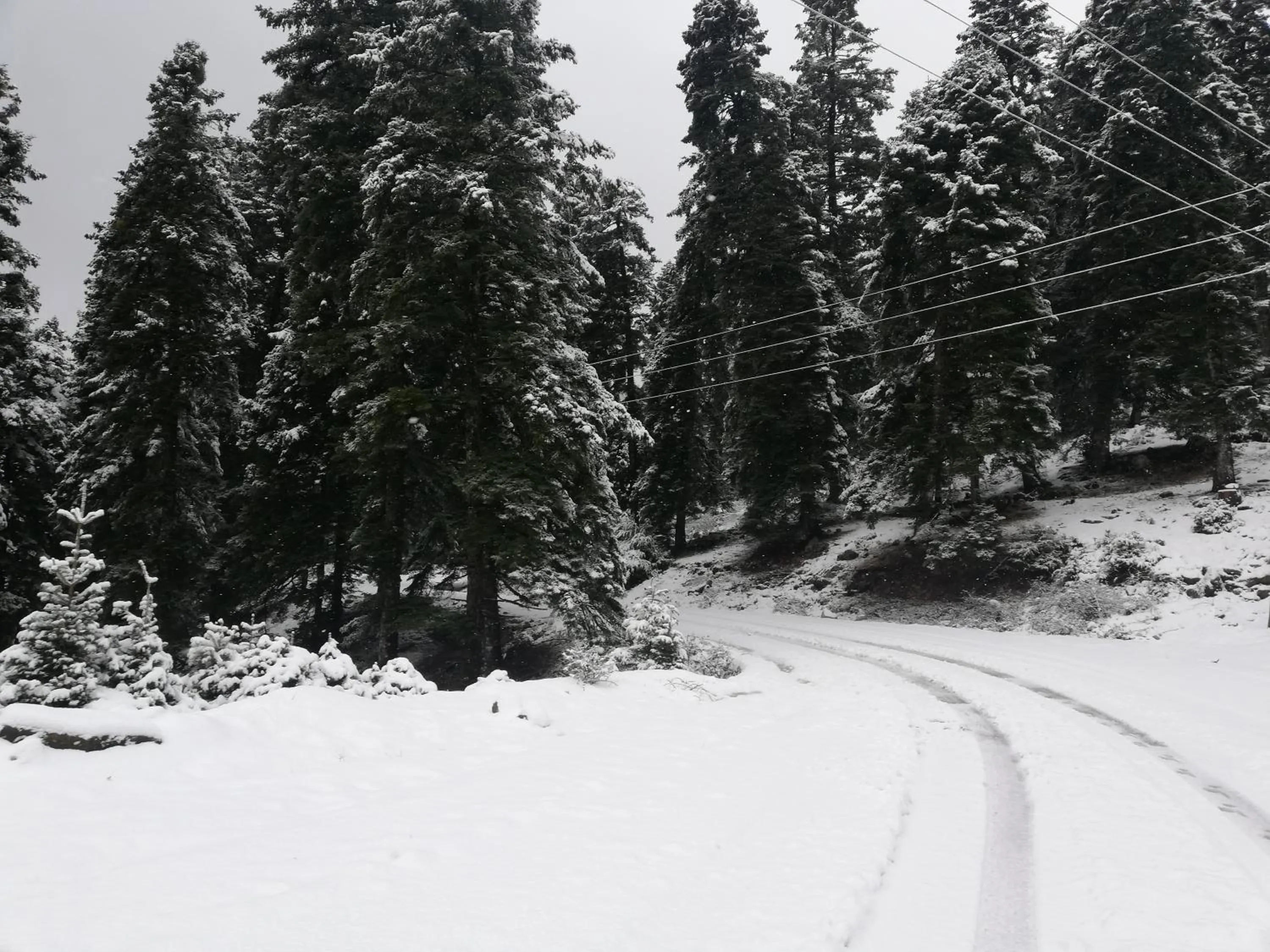 Natural landscape in Xenonas Kypseli