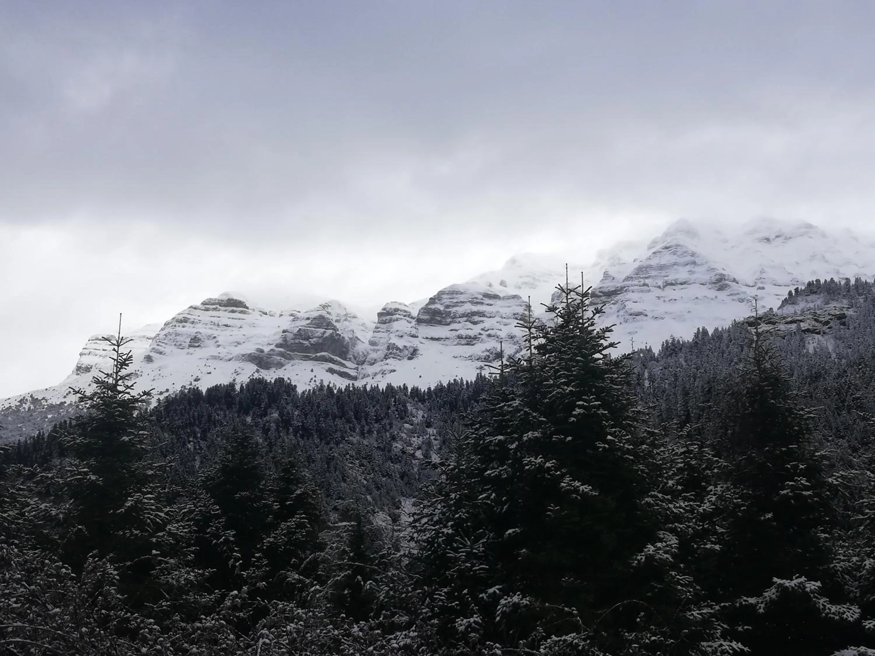 Day in Xenonas Kypseli