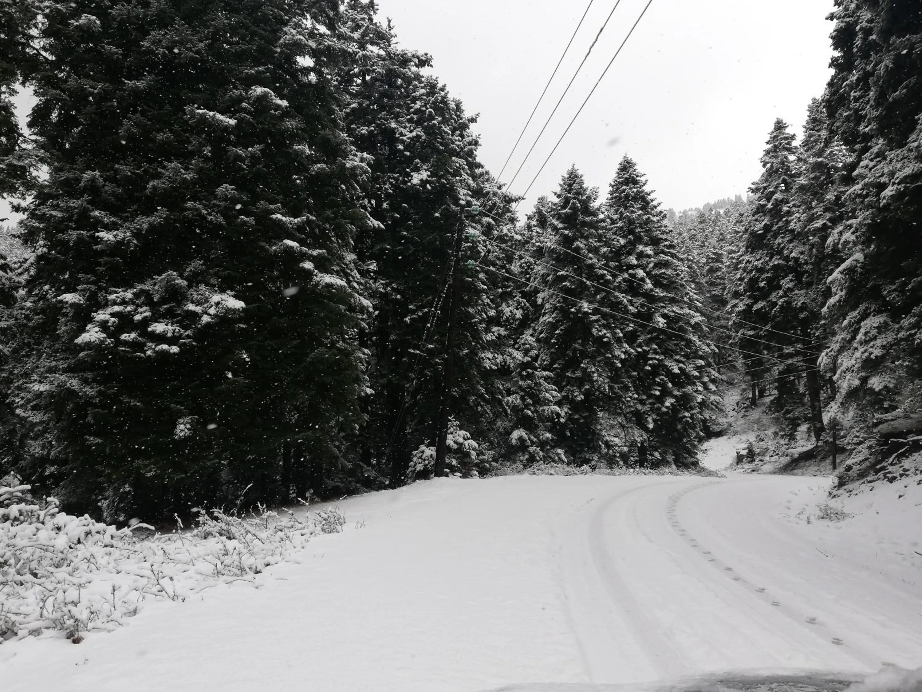 Natural landscape in Xenonas Kypseli