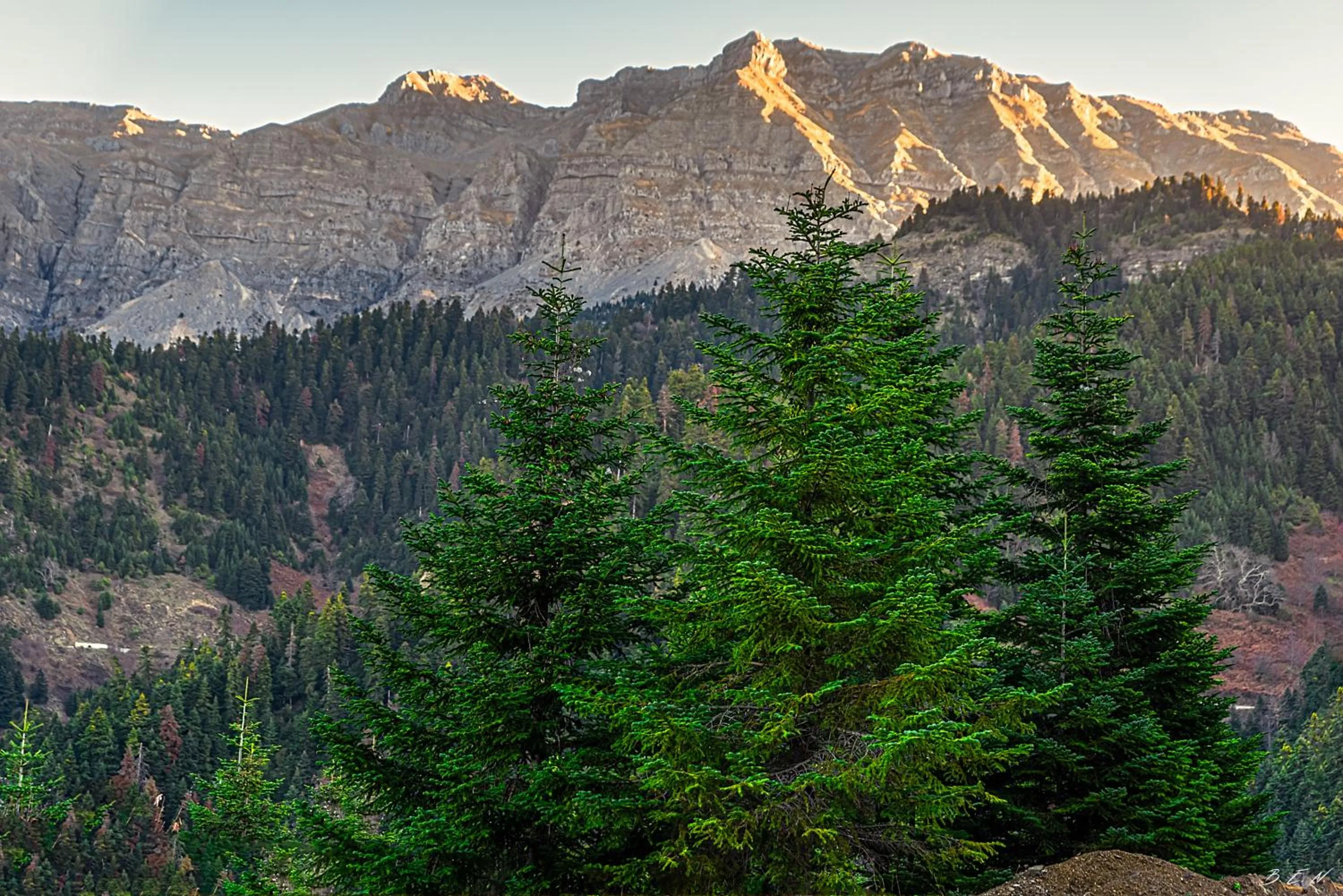 Location in Xenonas Kypseli