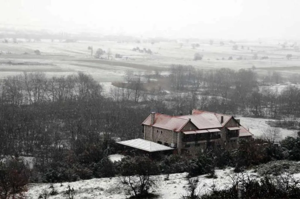 Bird's eye view in Metohi