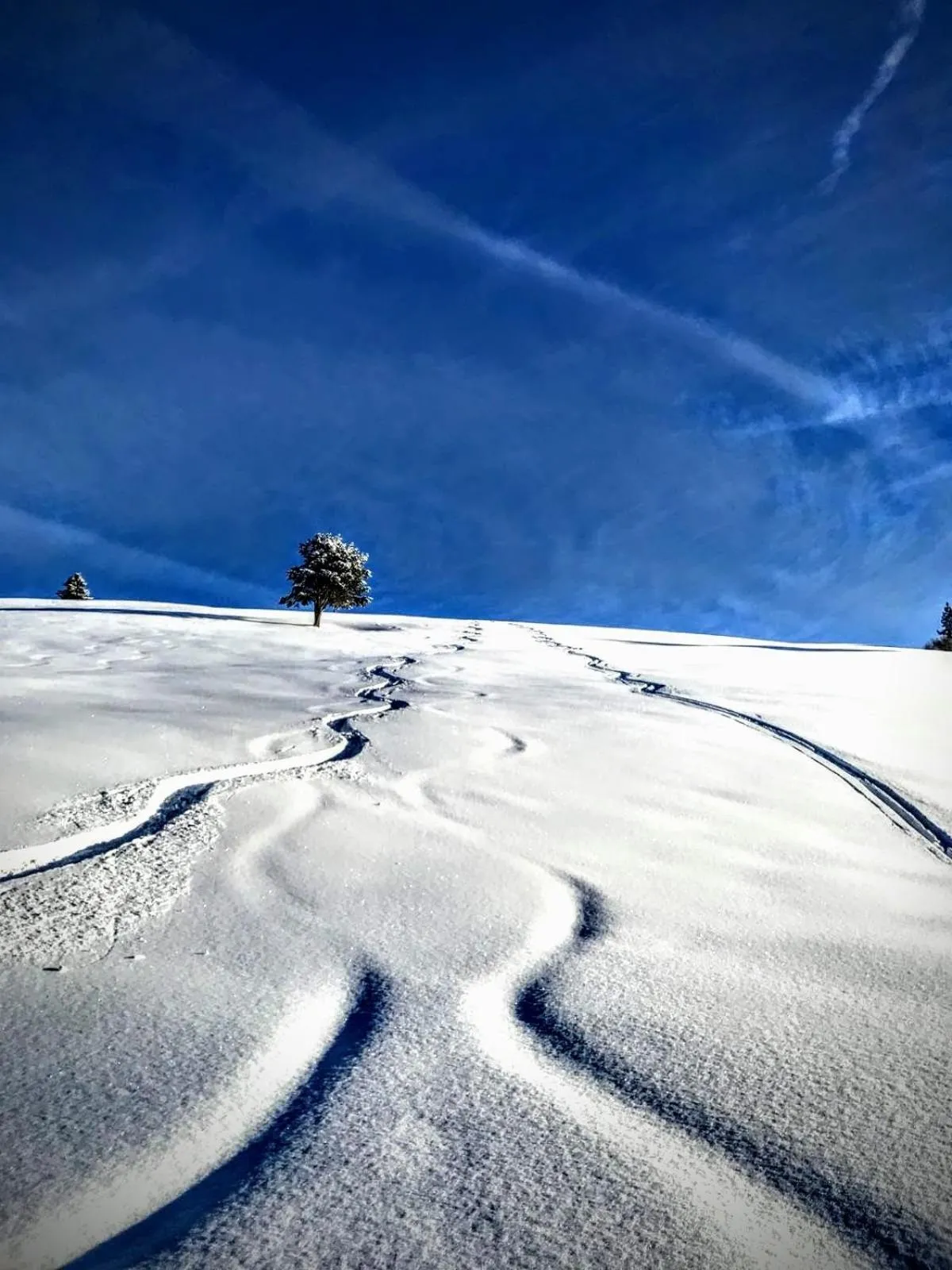Natural landscape in Zur Brücke apartments and rooms - Your home in heart of South Tyrol, with Brixencard